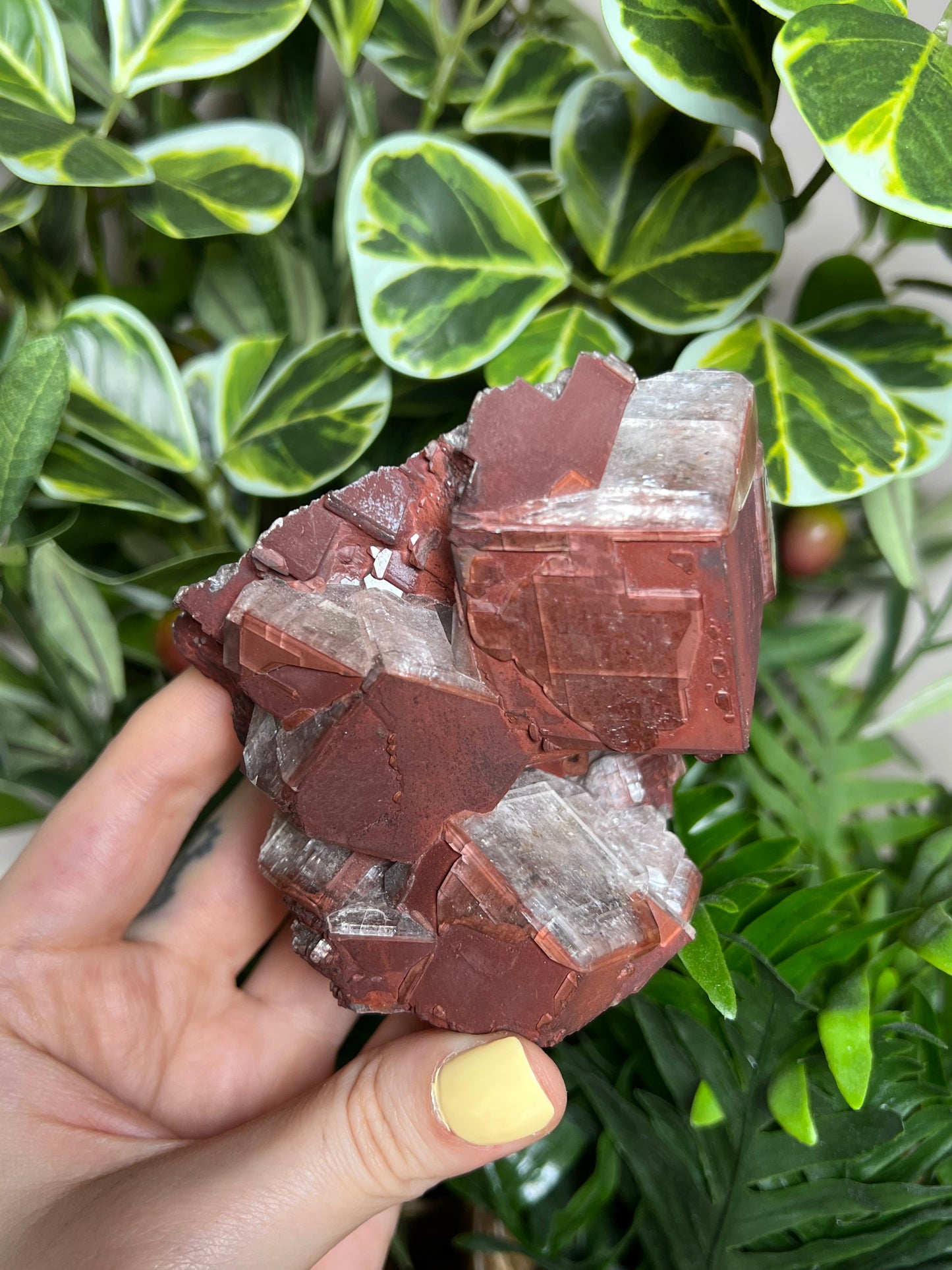 Chocolate Calcite