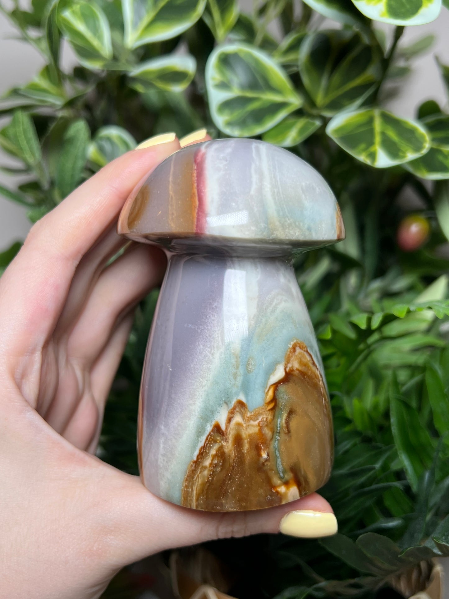 Polychrome Jasper Mushrooms