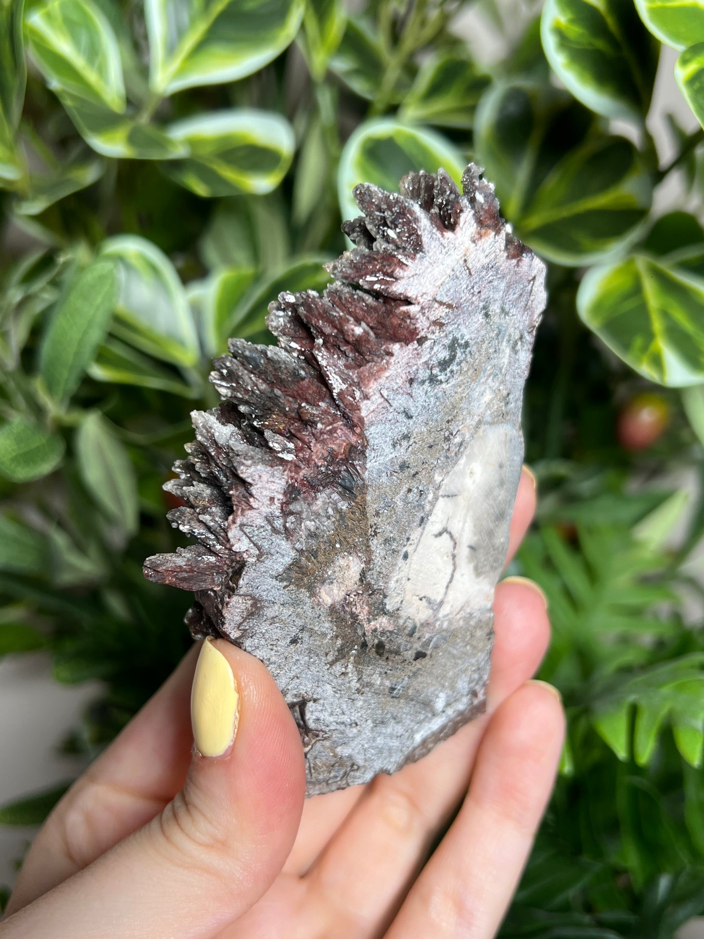 Dogtooth Calcite