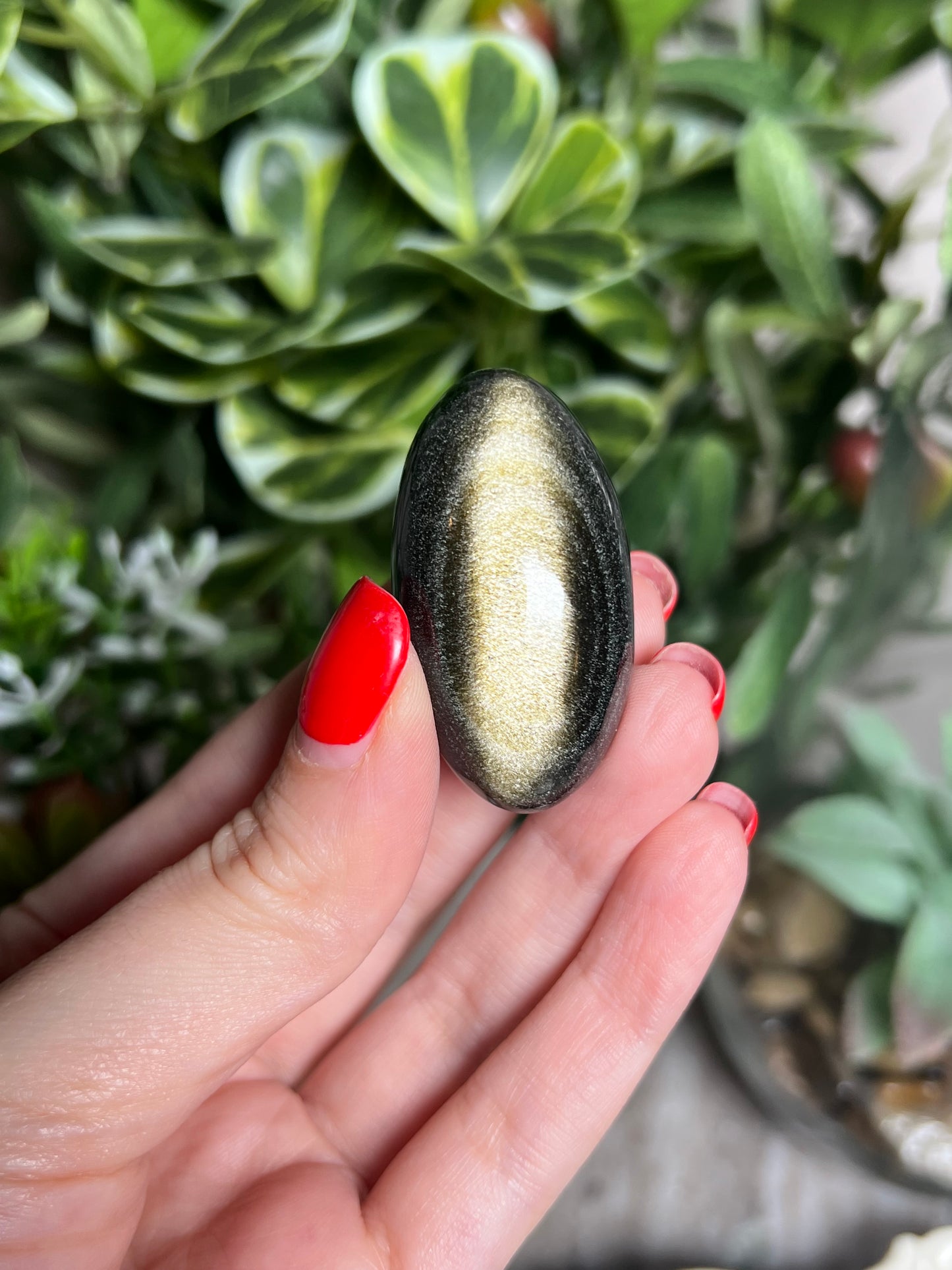 Golden Sheen Obsidian Shivas