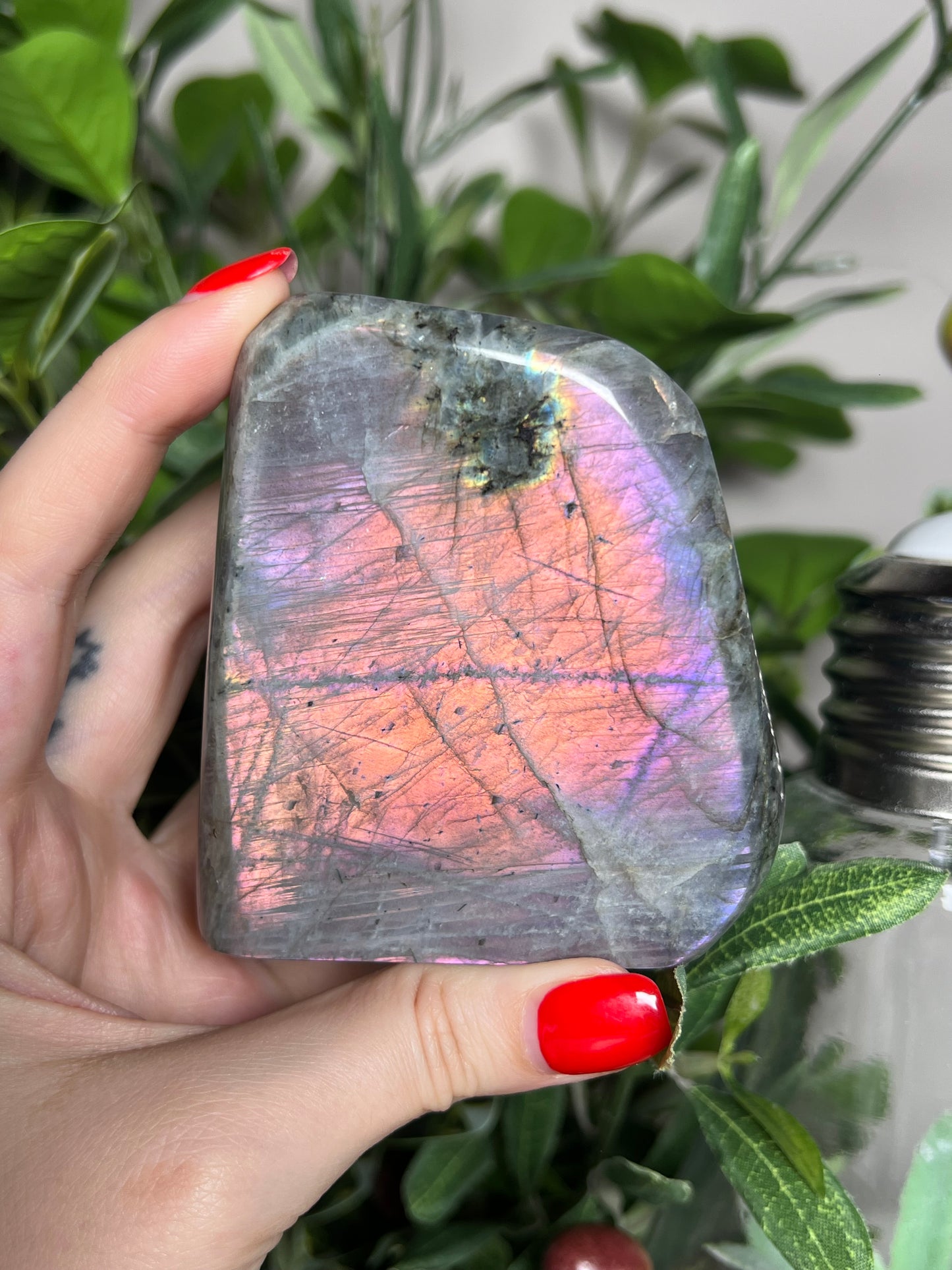 Labradorite Freeforms