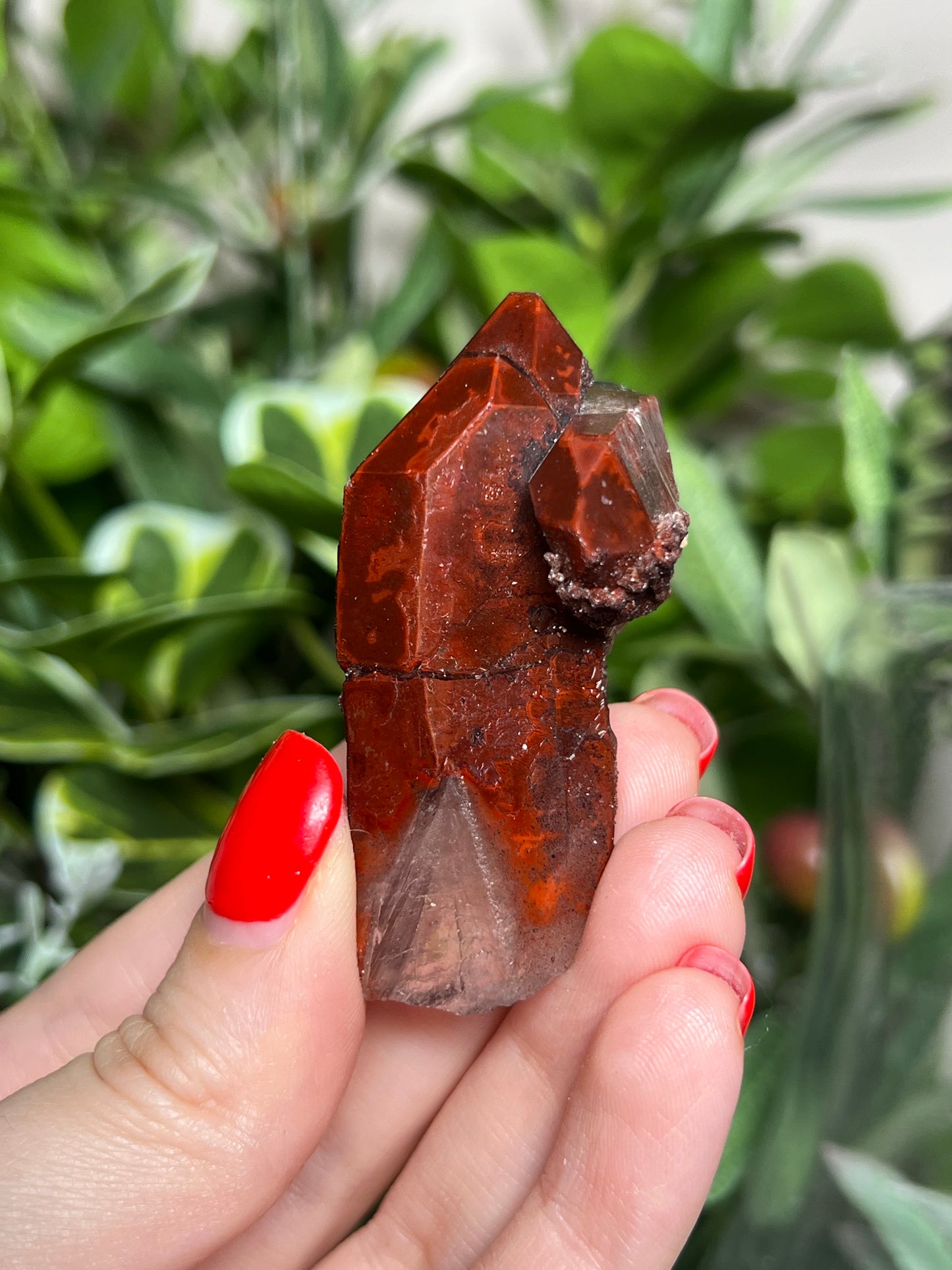Vampy Quartz