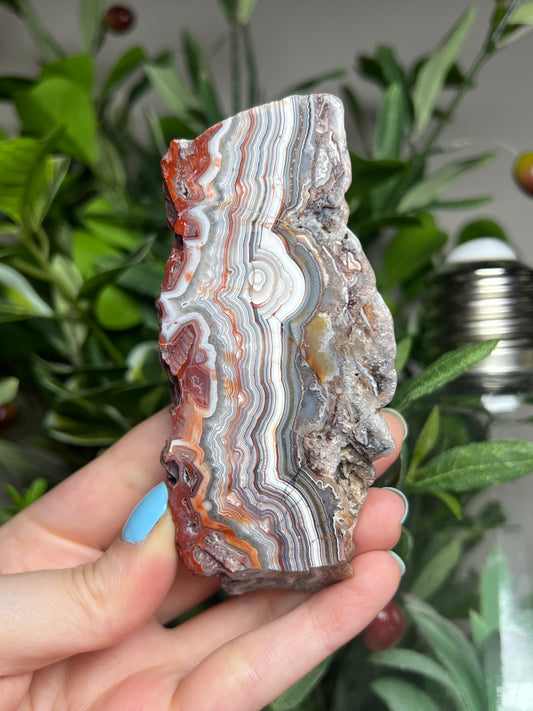 Laguna Lace Agate Freeforms