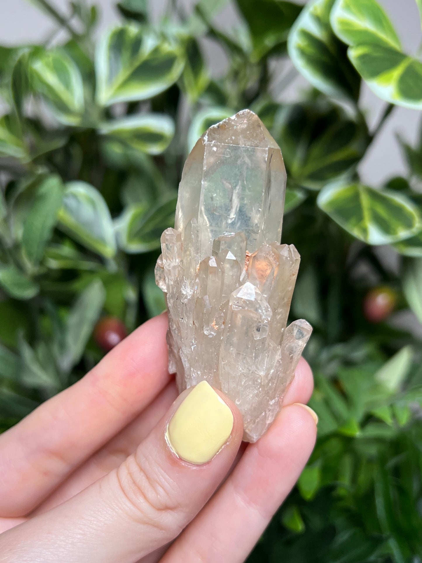 Natural Kundalini Citrine