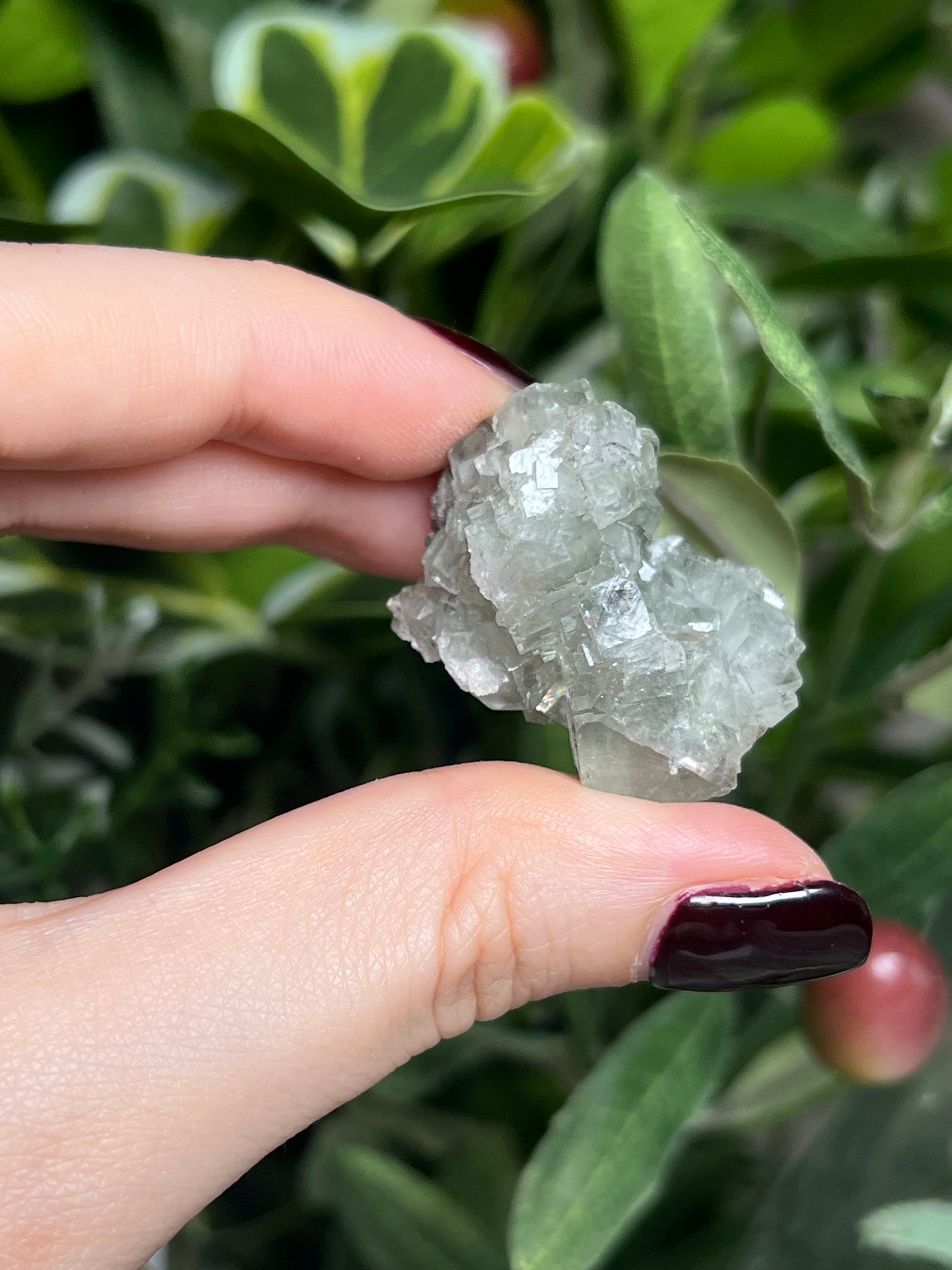 Fluorite with Calcite