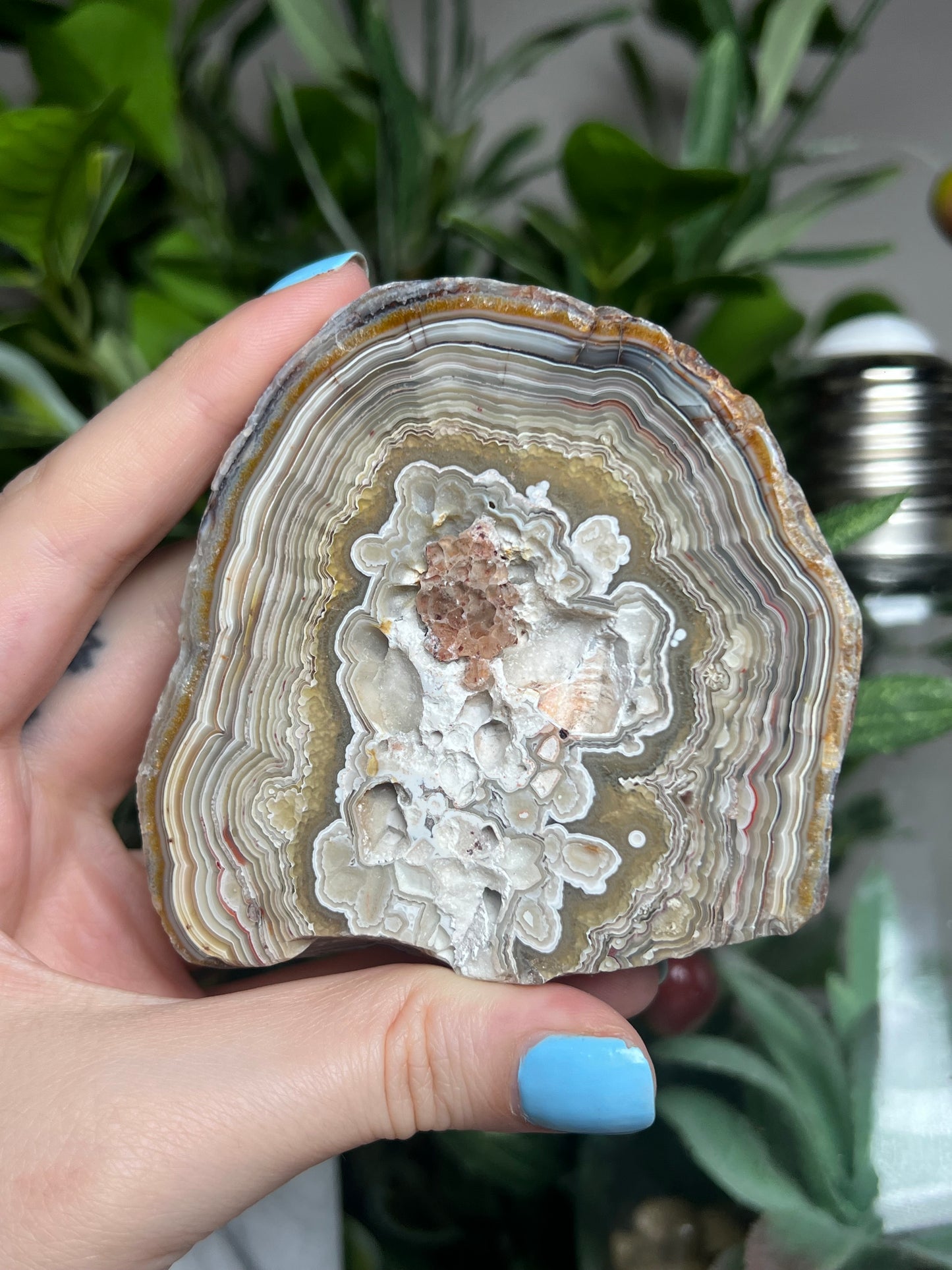 Laguna Lace Agate Freeforms