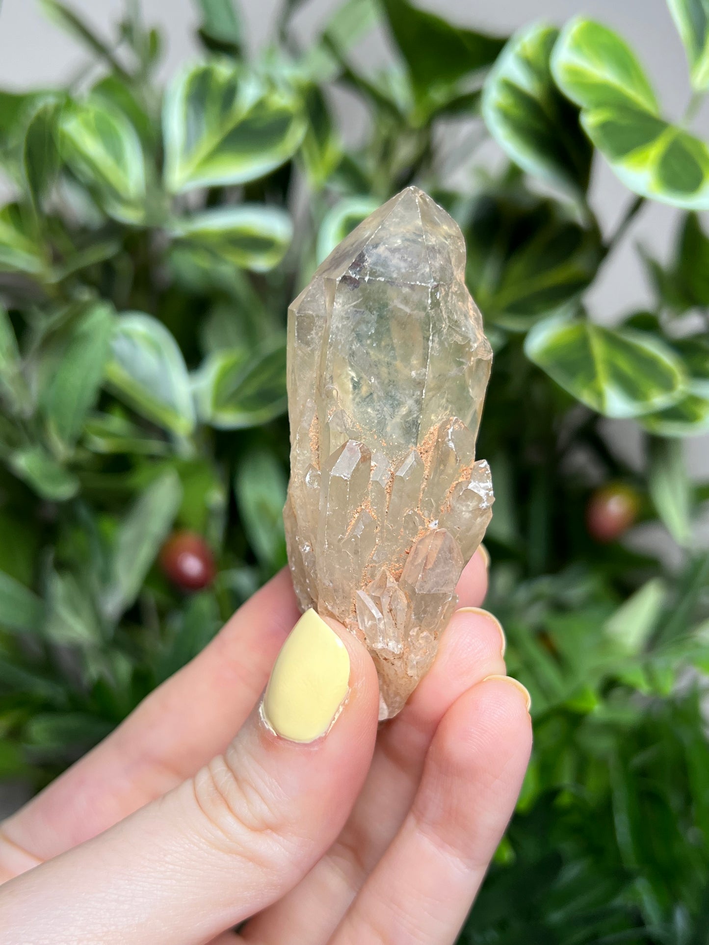 Natural Kundalini Citrine