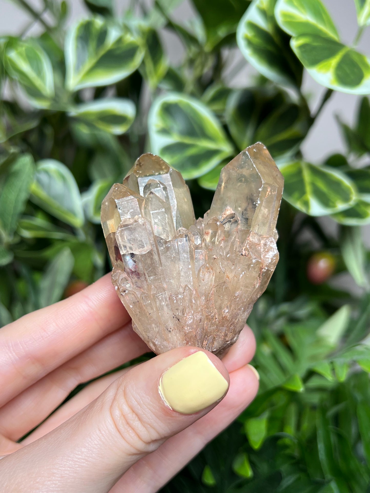 Natural Kundalini Citrine