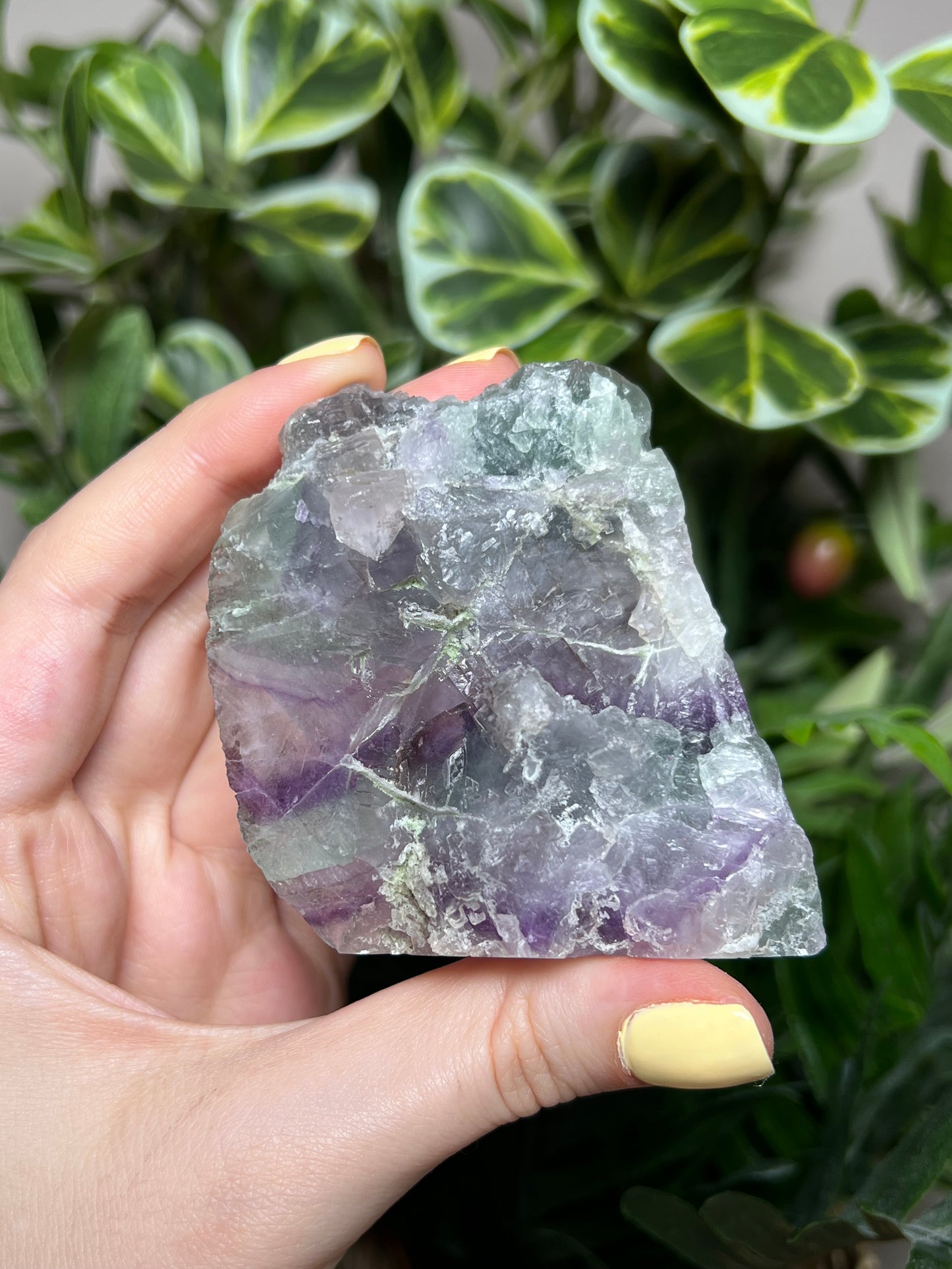 Fluorite Cutbases