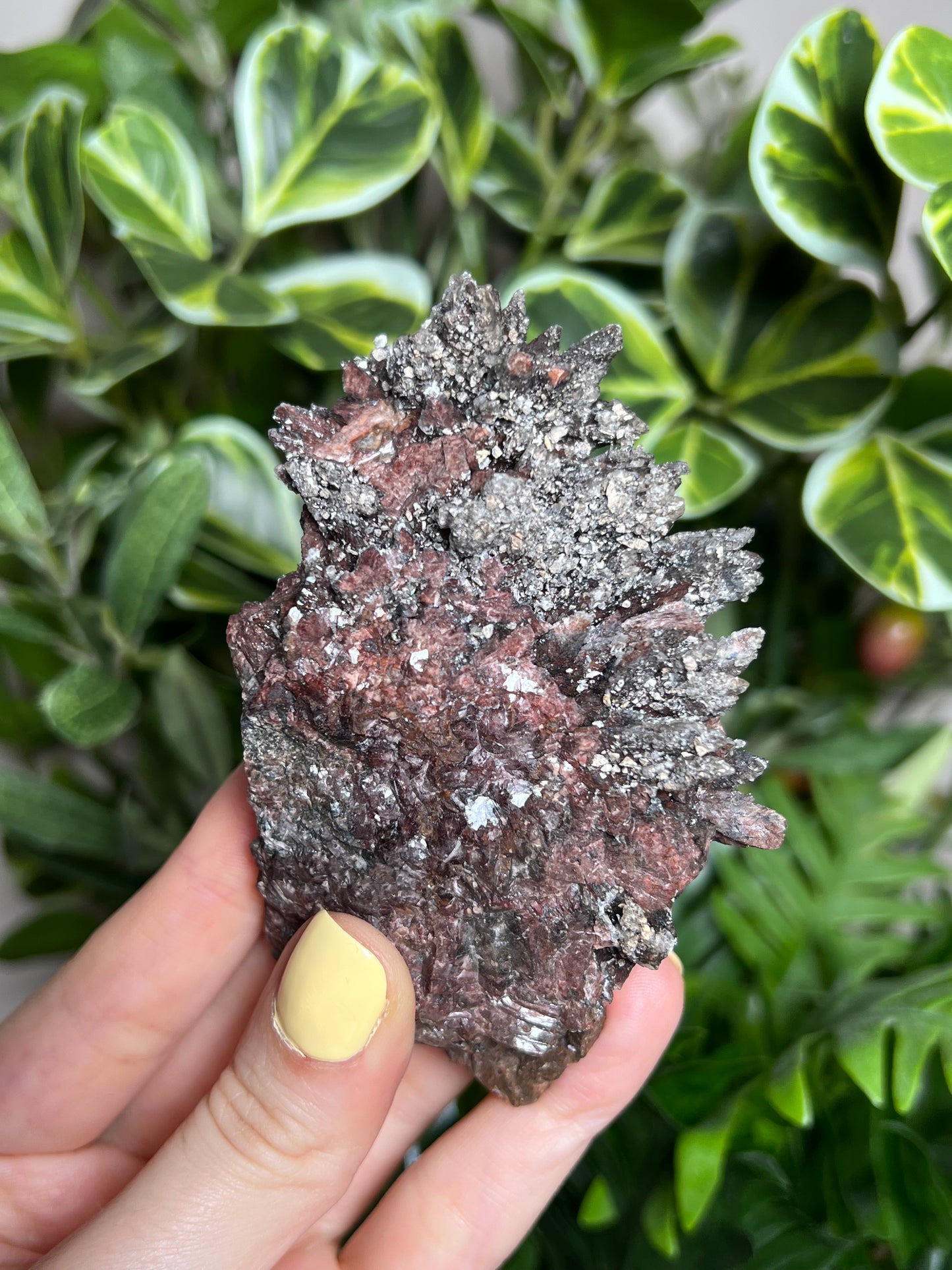 Dogtooth Calcite