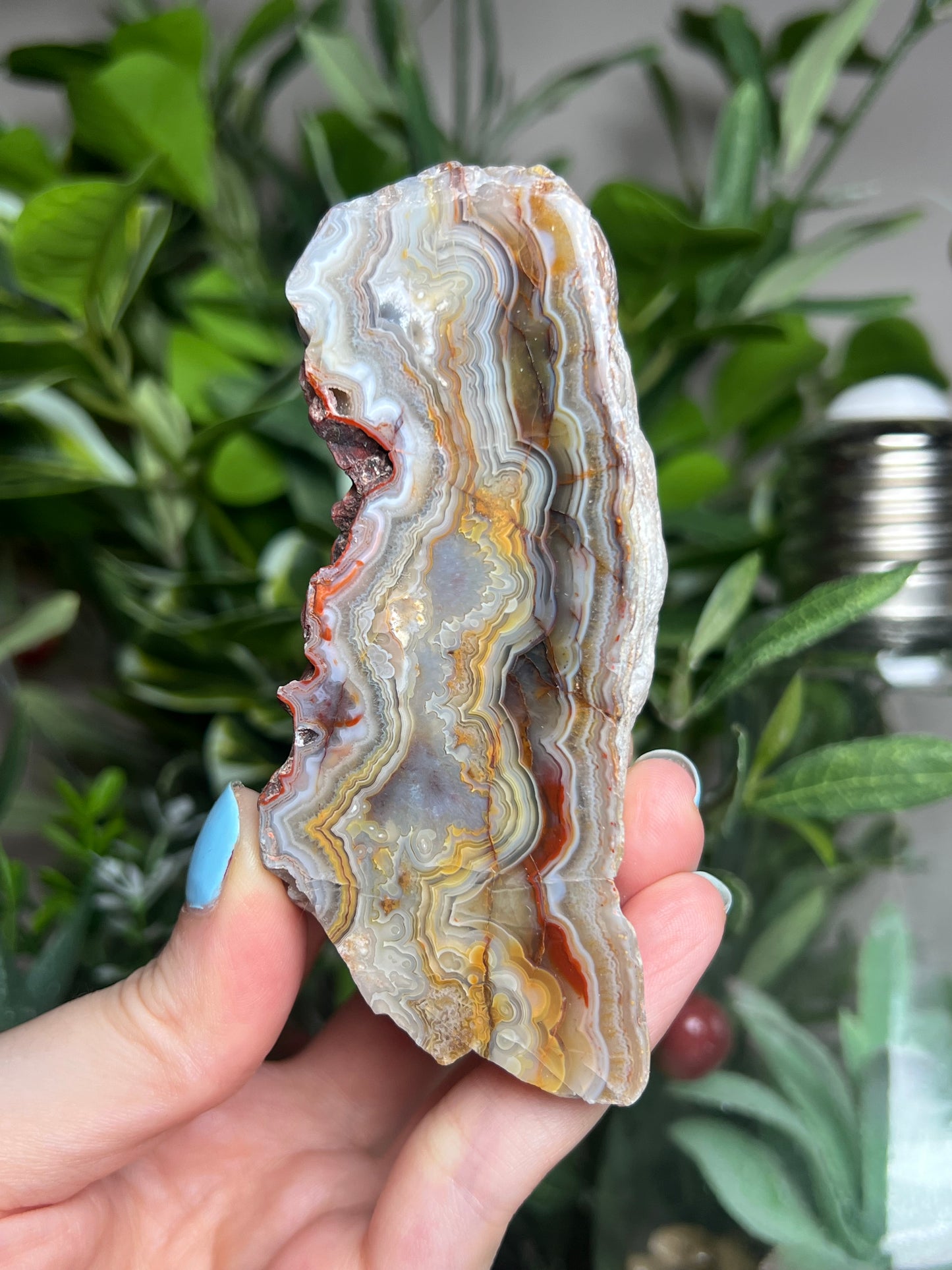 Laguna Lace Agate Freeforms