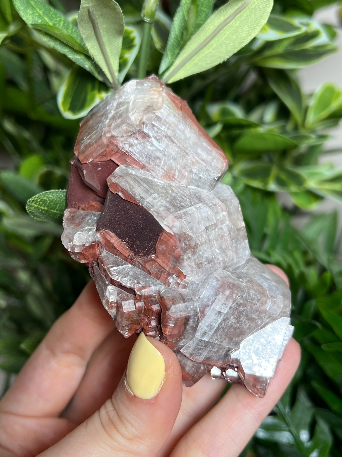 Chocolate Calcite