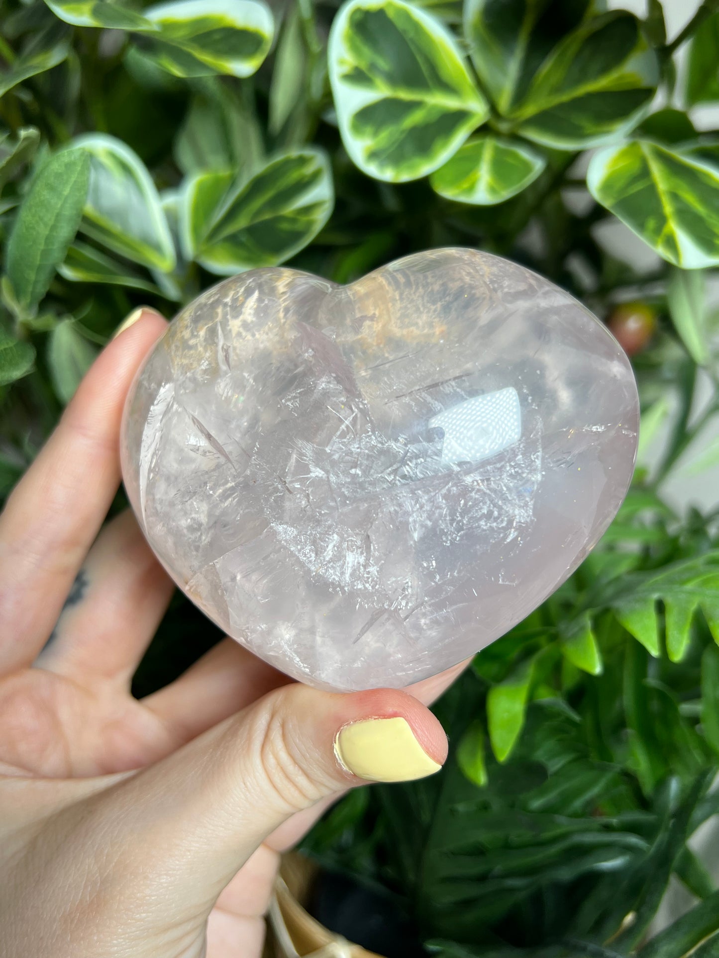 Gemmy Star Rose Quartz Hearts