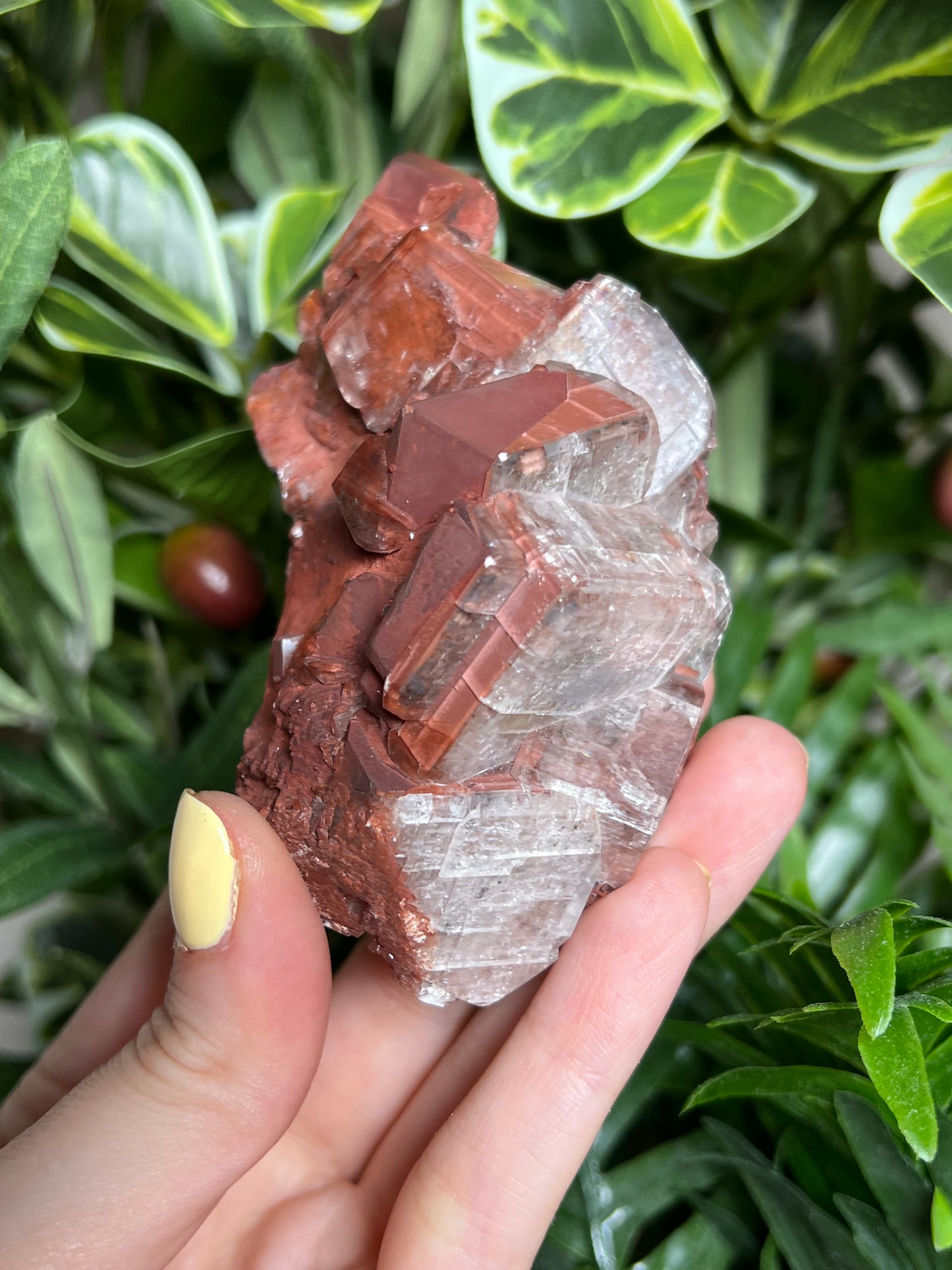 Chocolate Calcite