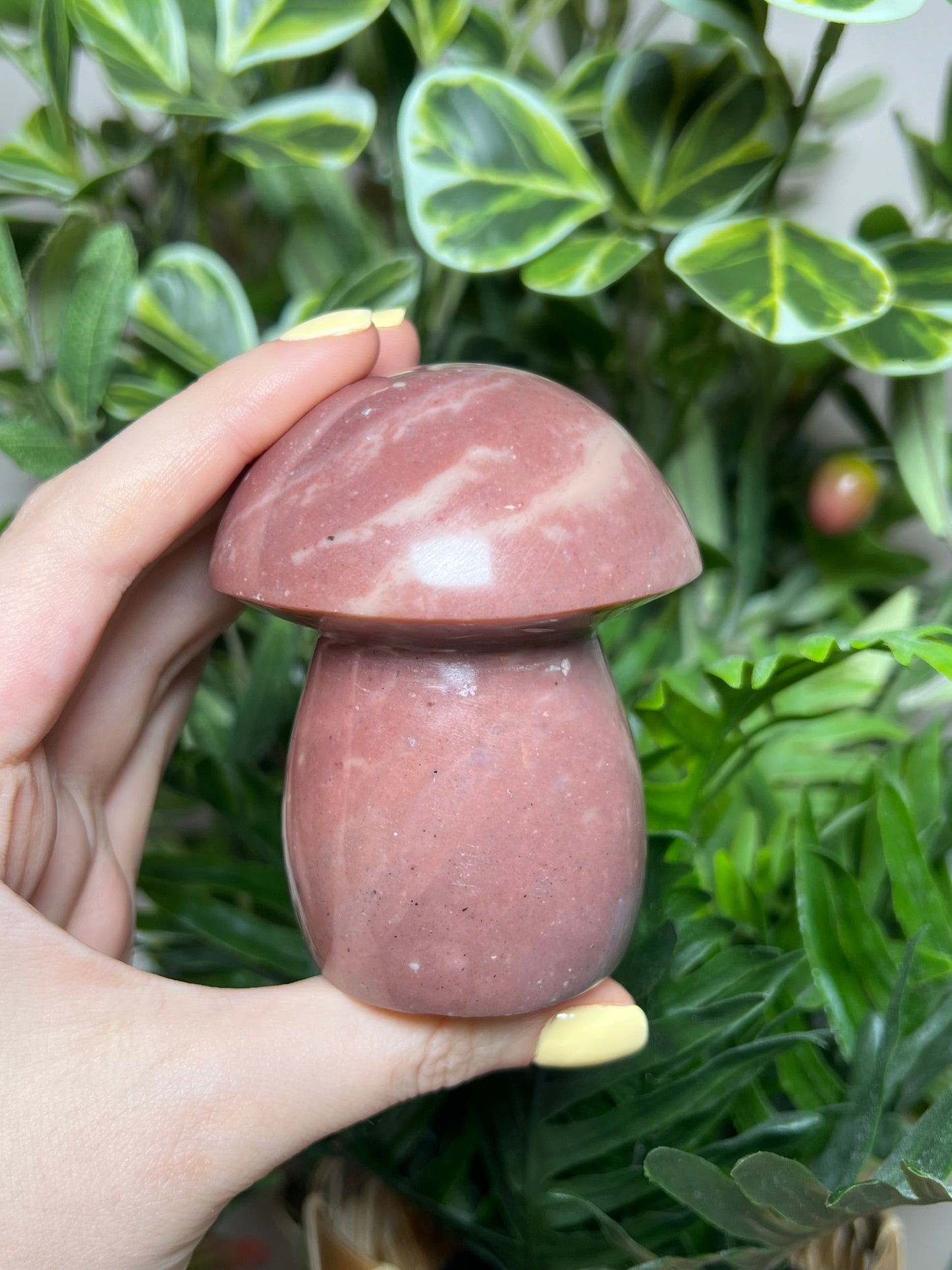 Polychrome Jasper Mushrooms