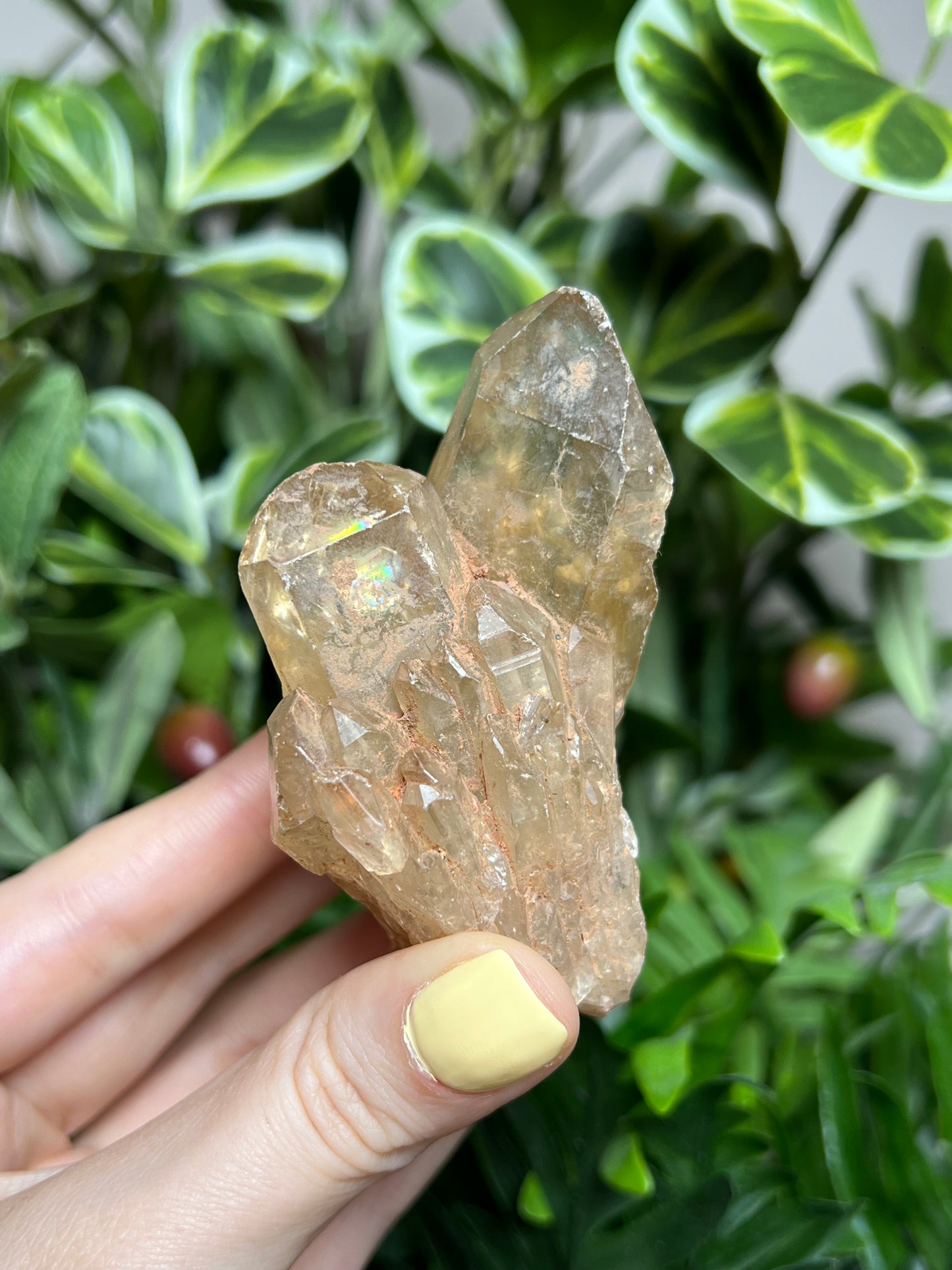 Natural Kundalini Citrine