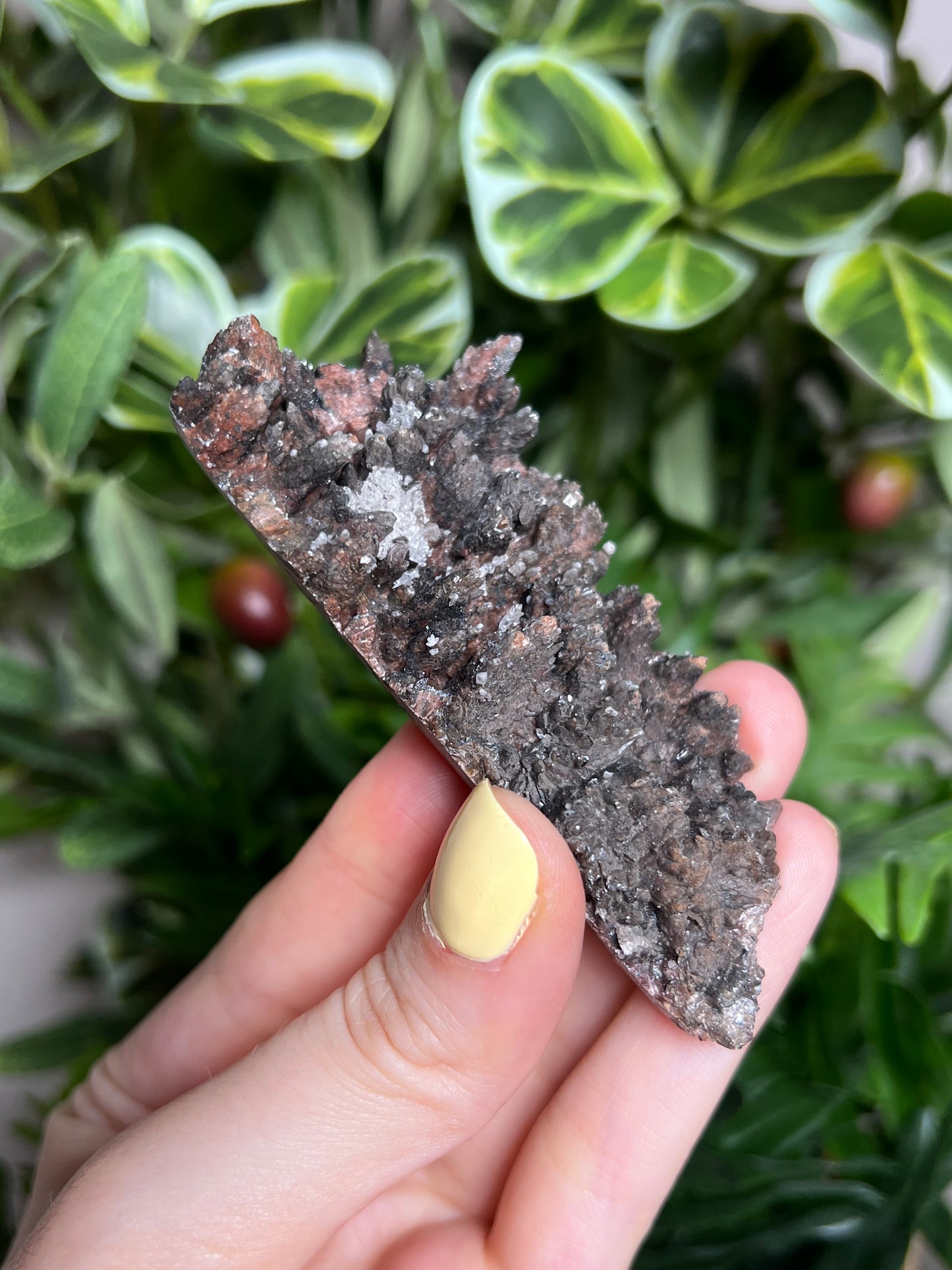 Dogtooth Calcite