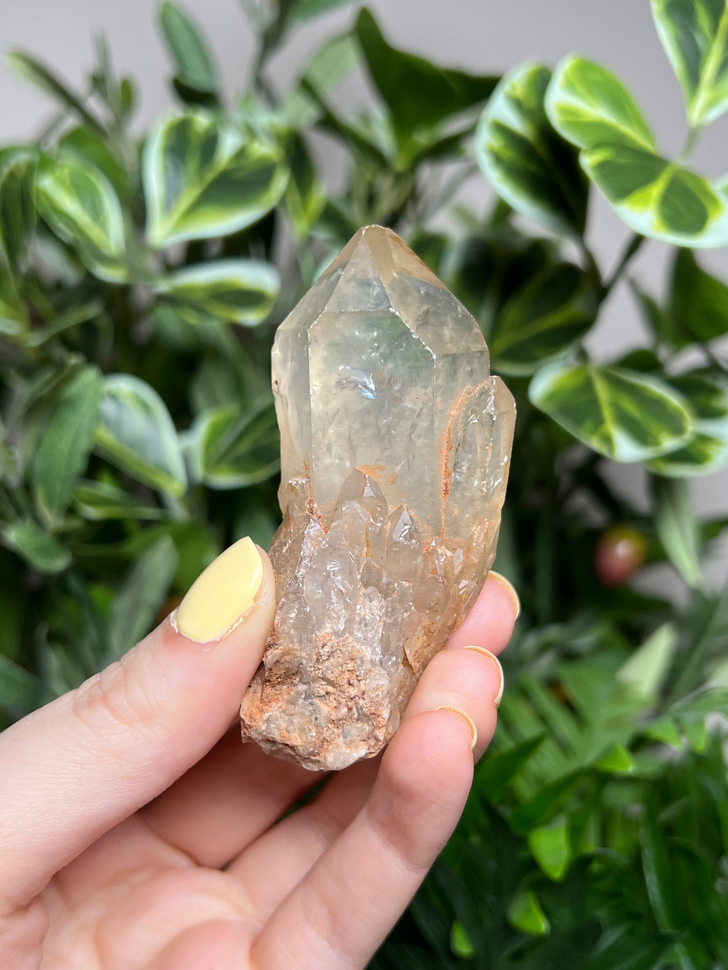 Natural Kundalini Citrine