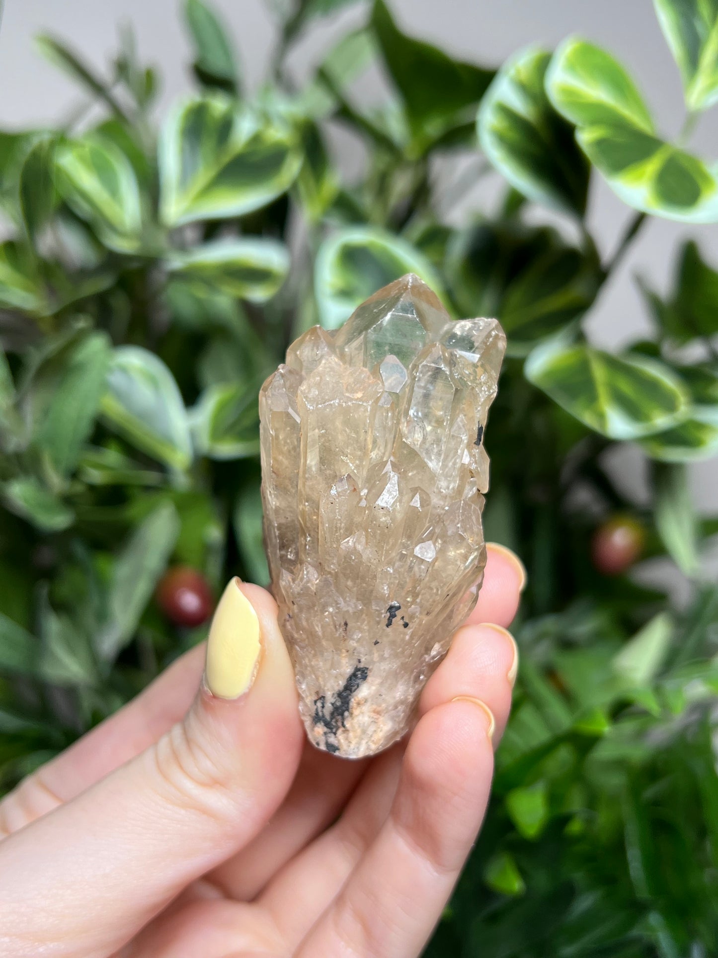 Natural Kundalini Citrine