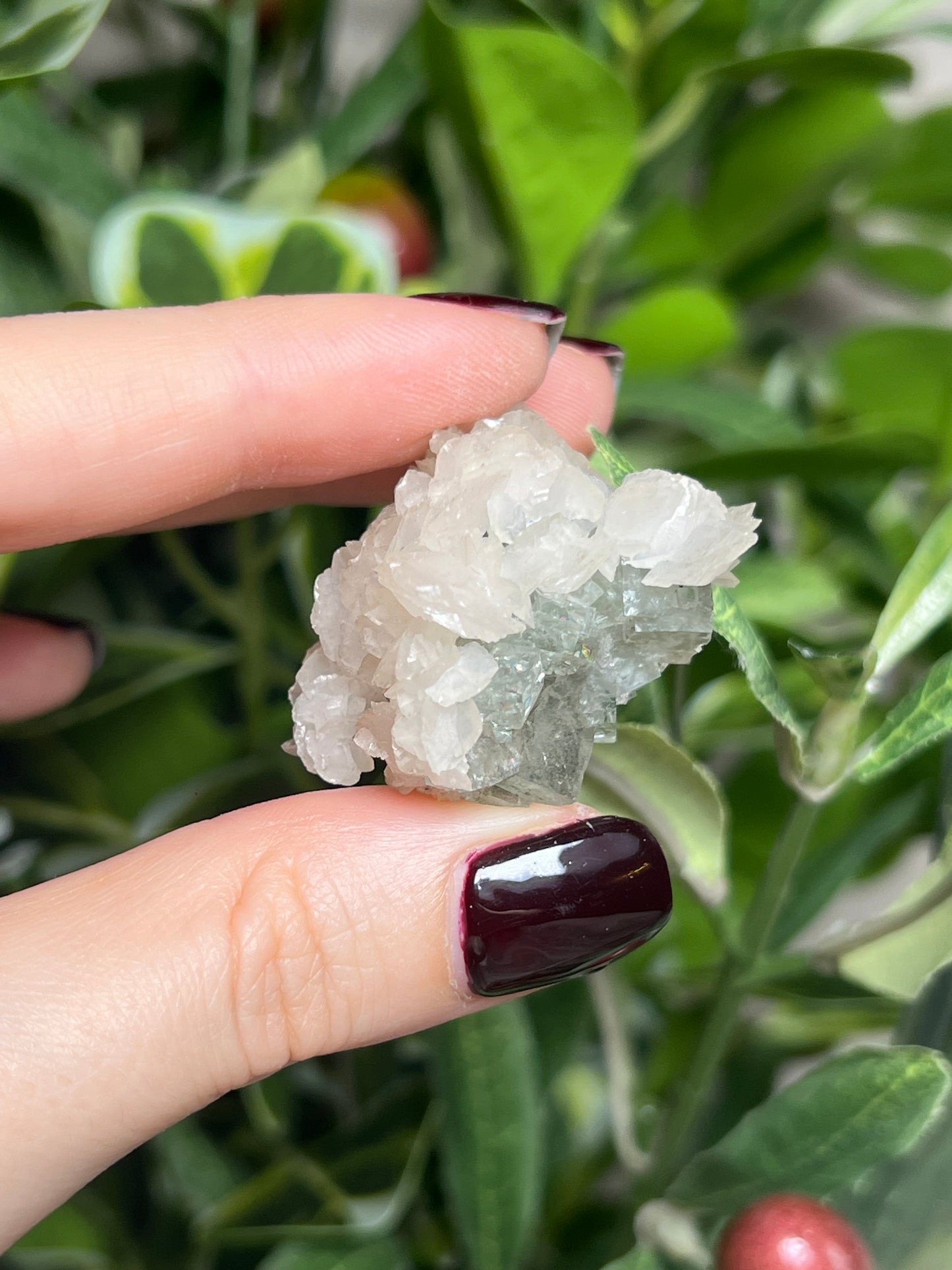 Fluorite with Calcite