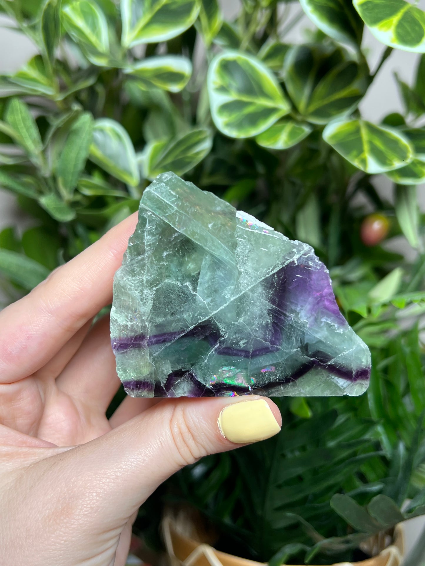 Fluorite Cutbases
