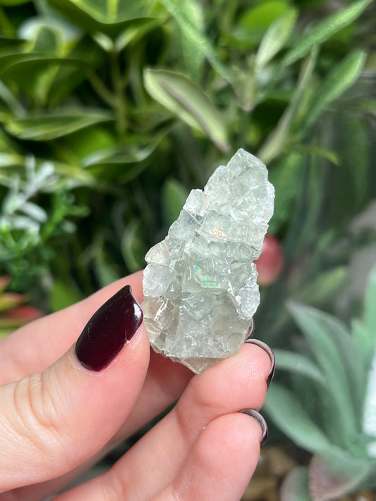 Fluorite with Calcite
