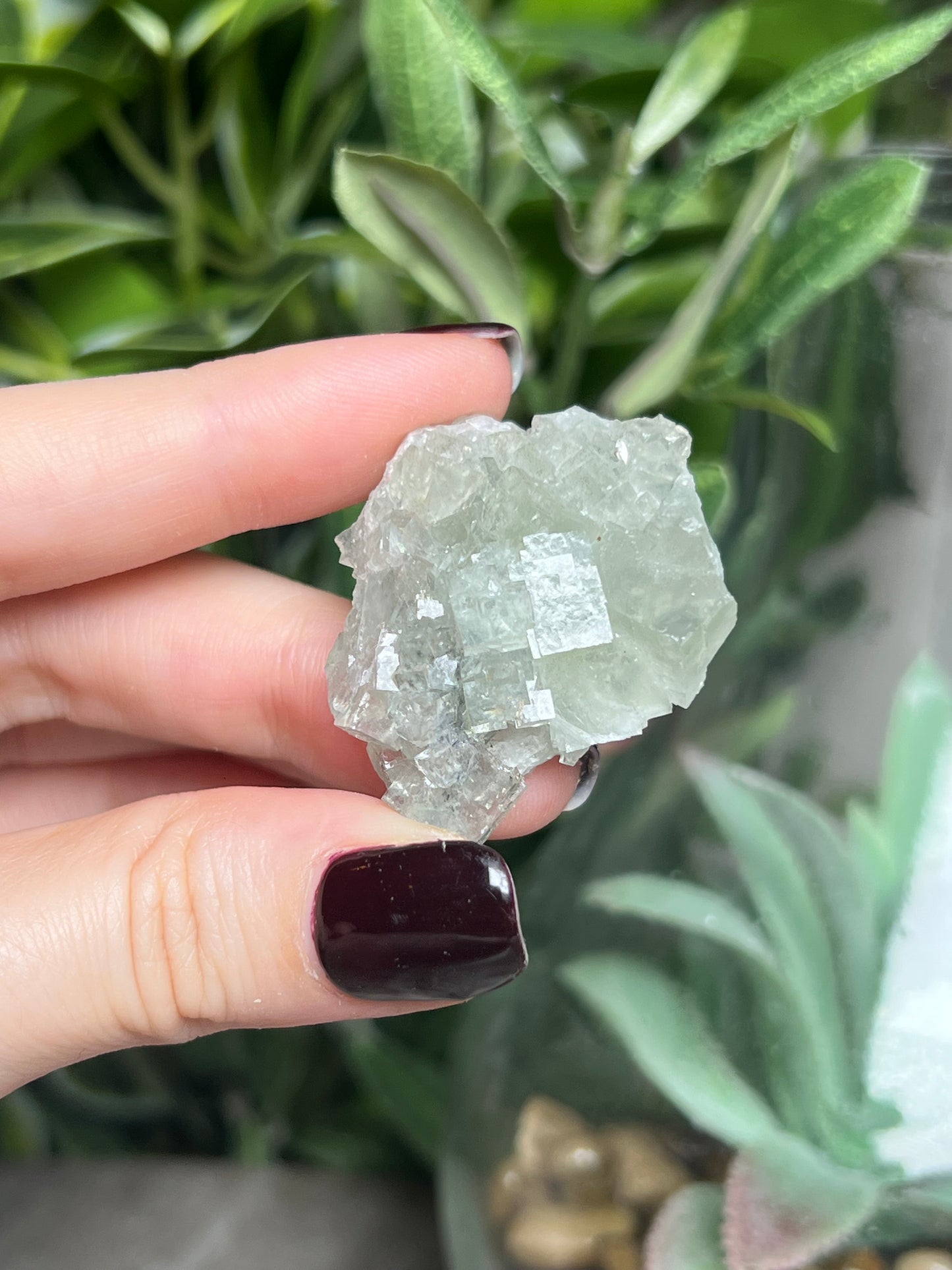 Fluorite with Calcite