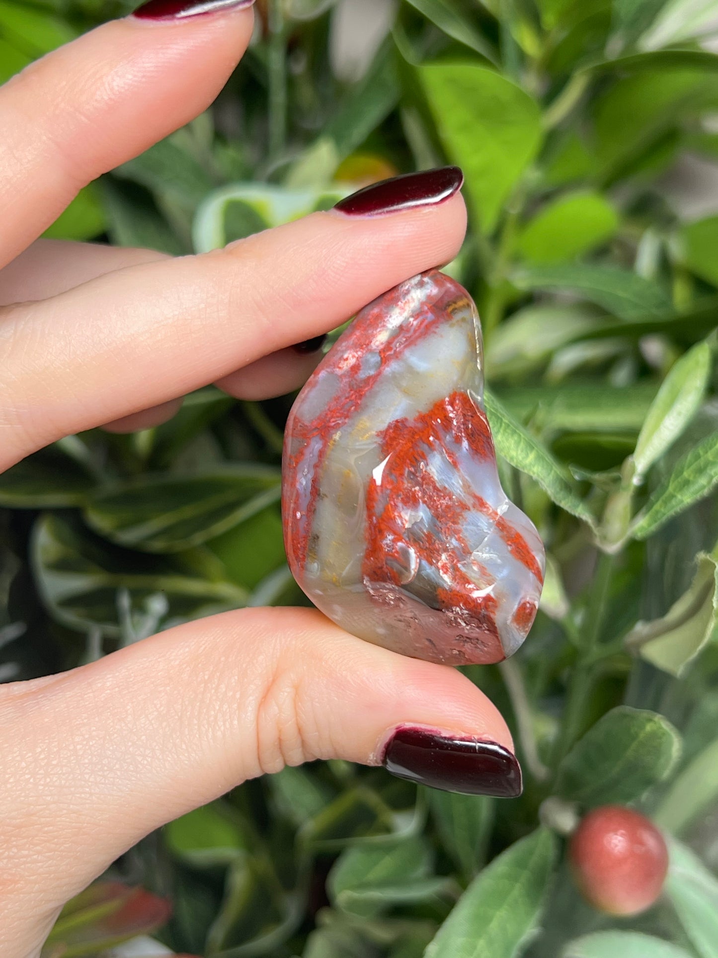 Arizona Petrified Wood Freeforms