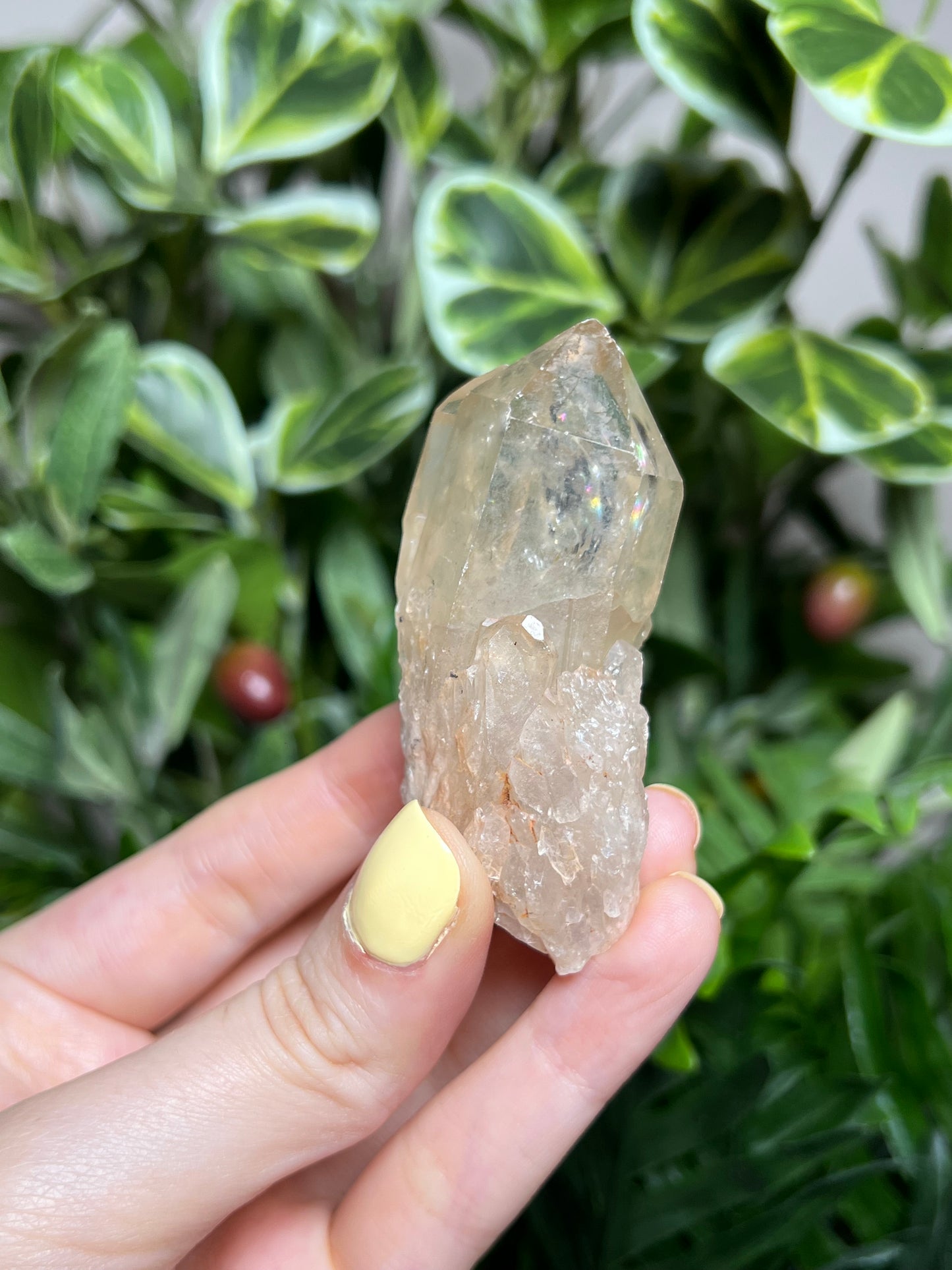 Natural Kundalini Citrine