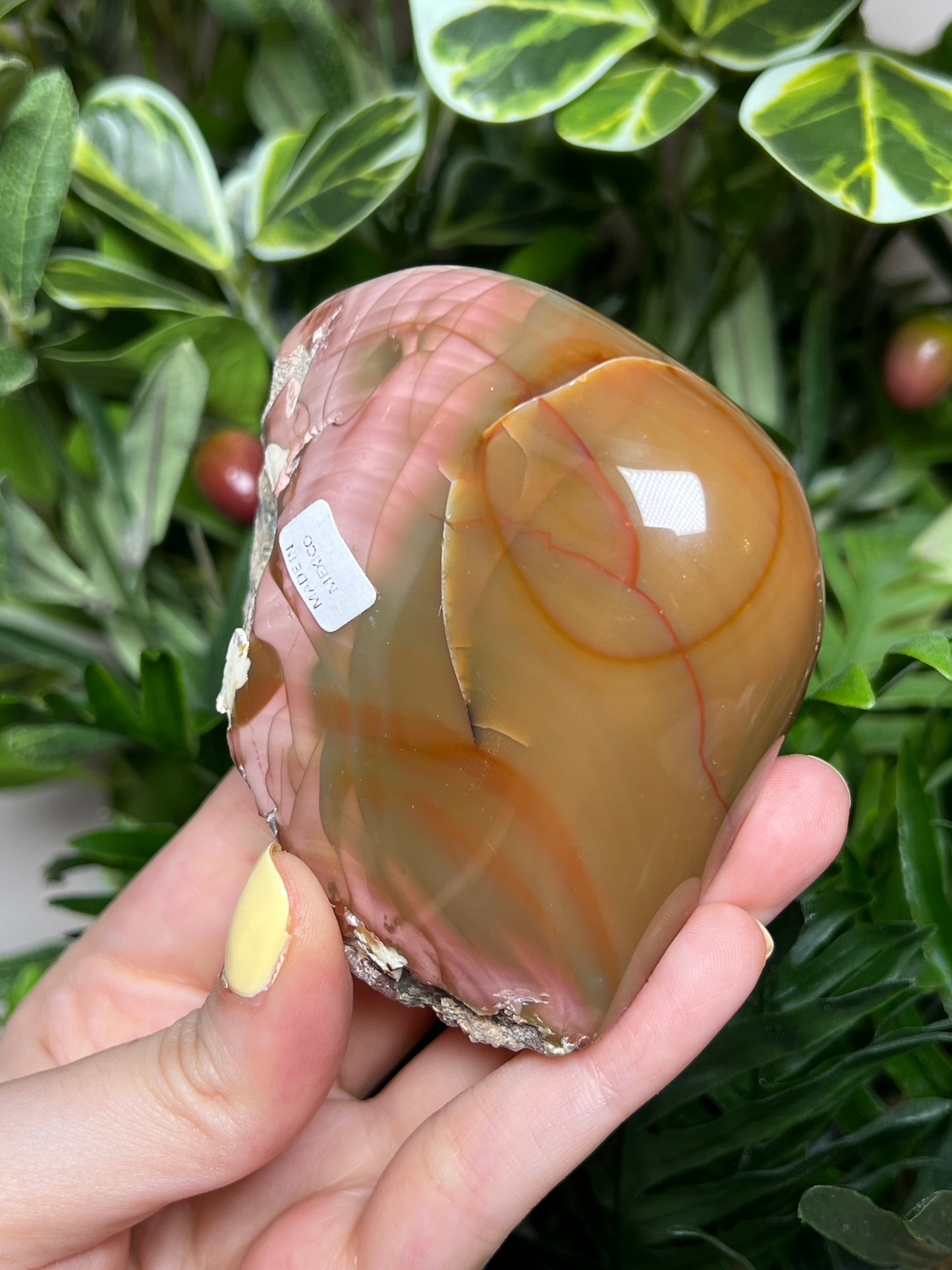 Imperial Jasper Freeforms