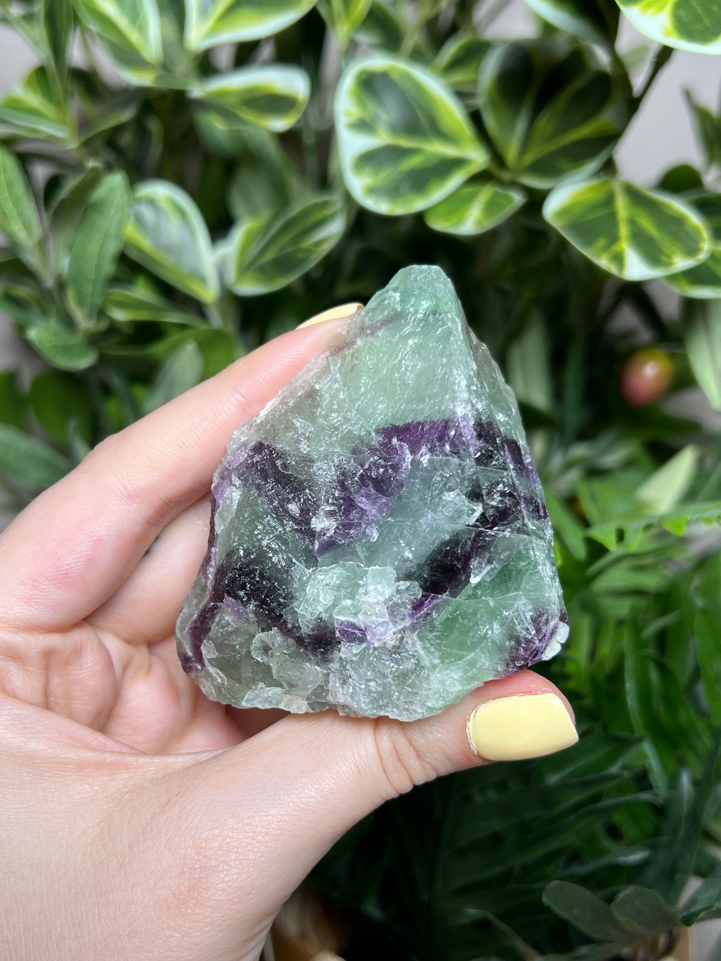 Fluorite Cutbases
