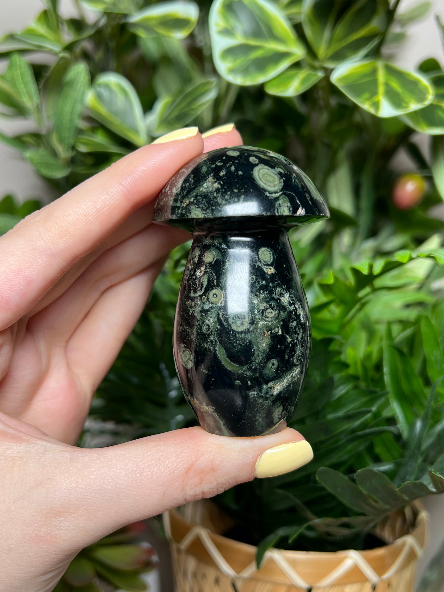Kambaba Jasper Mushrooms
