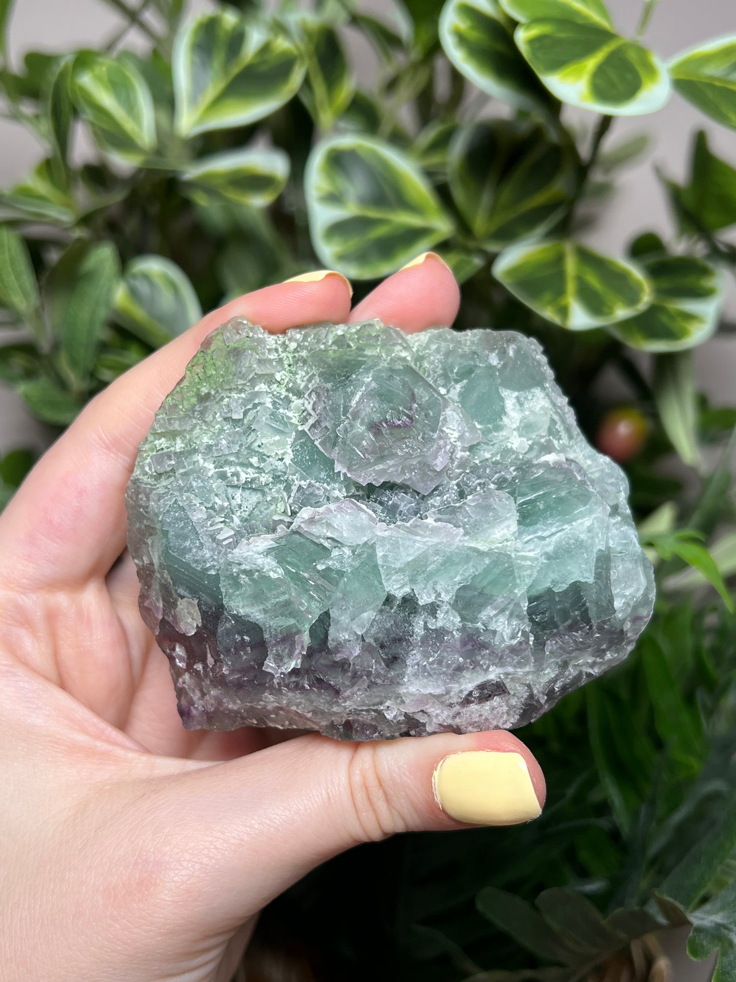Fluorite Cutbases