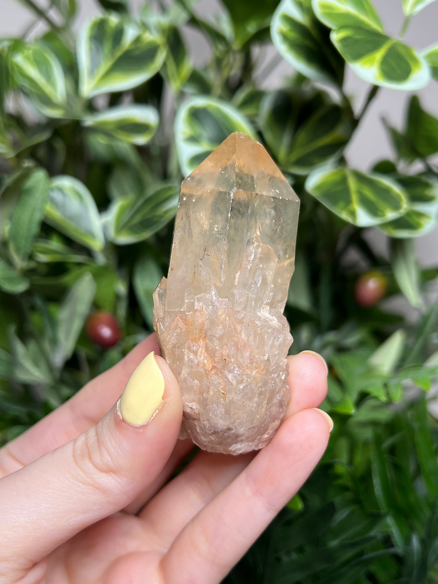 Natural Kundalini Citrine