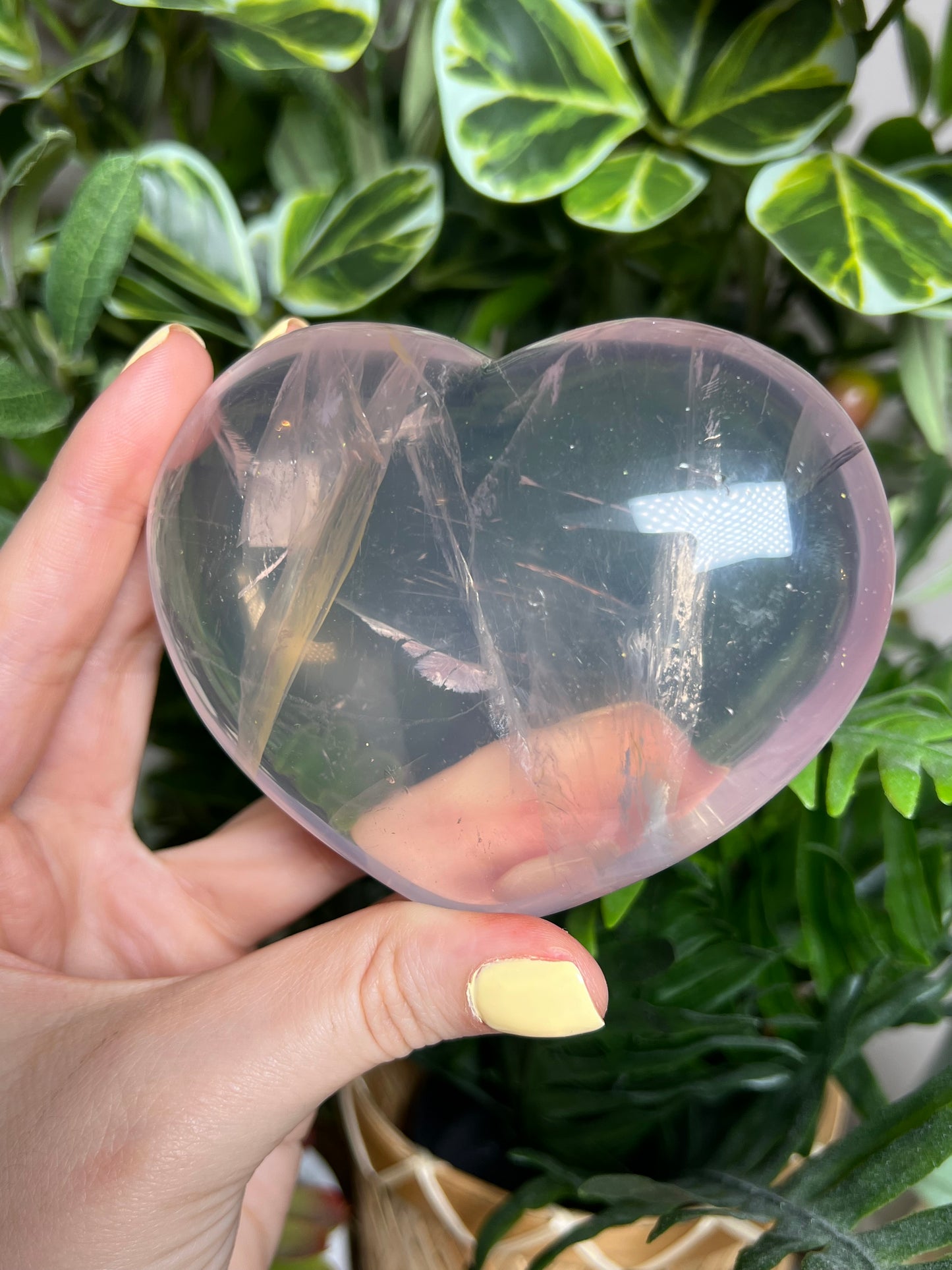 Gemmy Star Rose Quartz Hearts