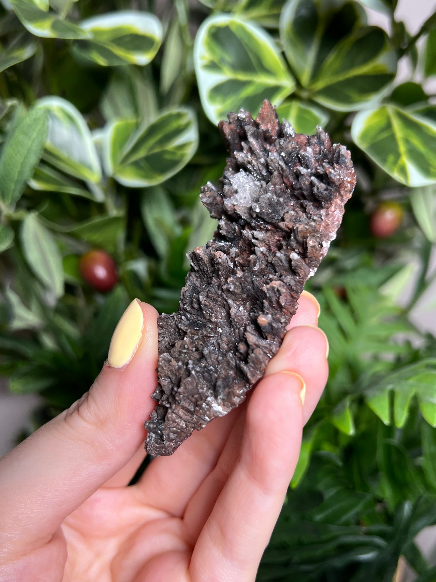 Dogtooth Calcite