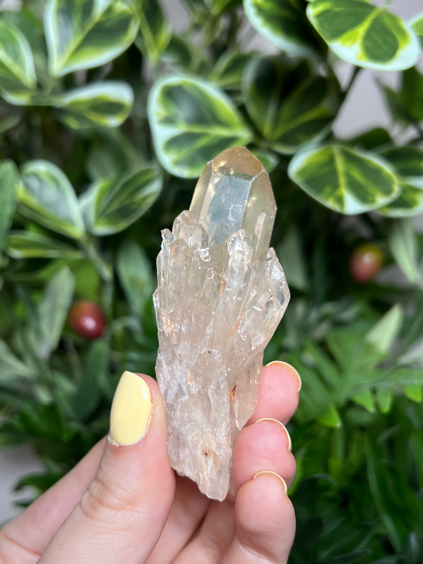 Natural Kundalini Citrine