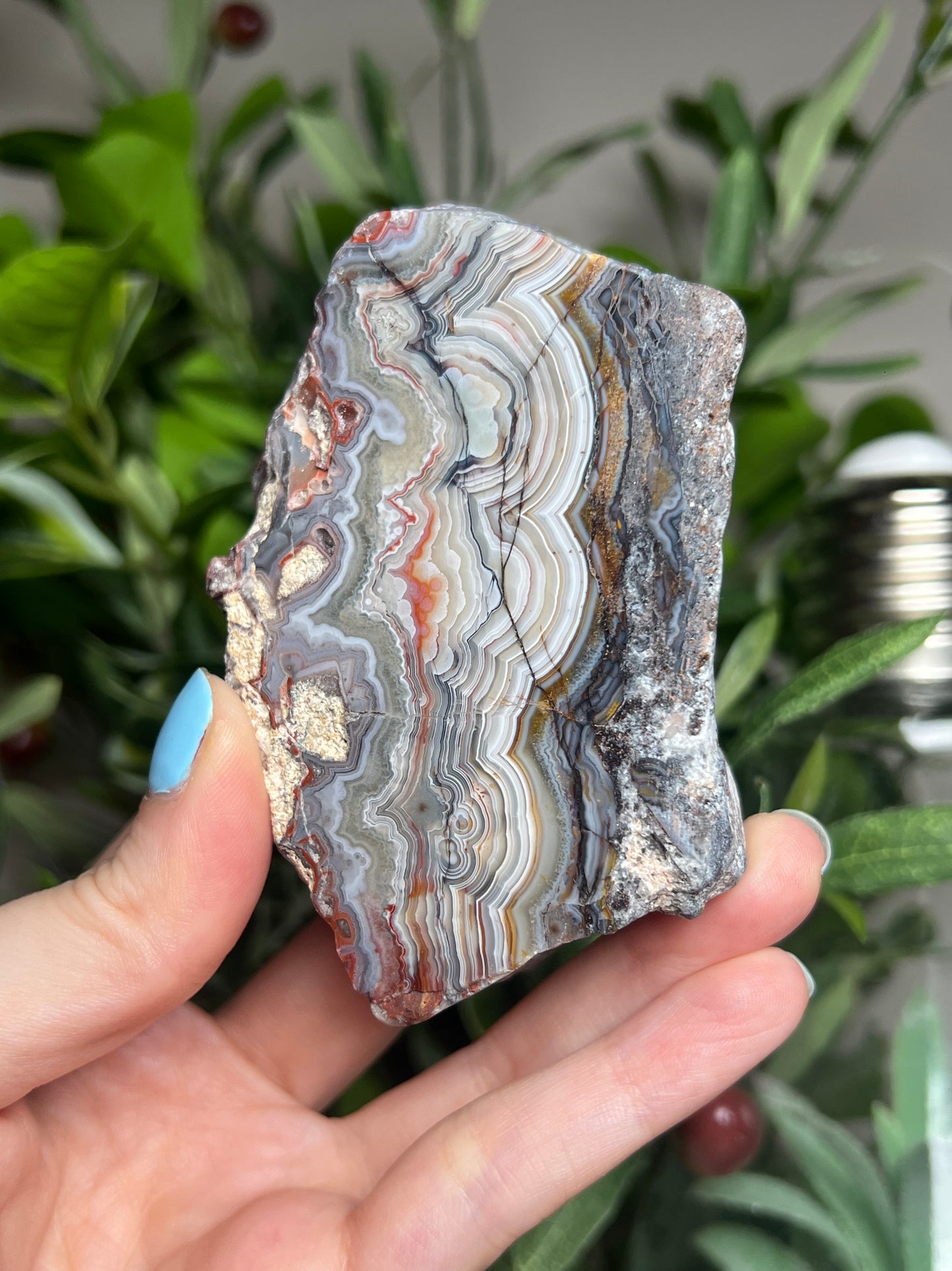 Laguna Lace Agate Freeforms
