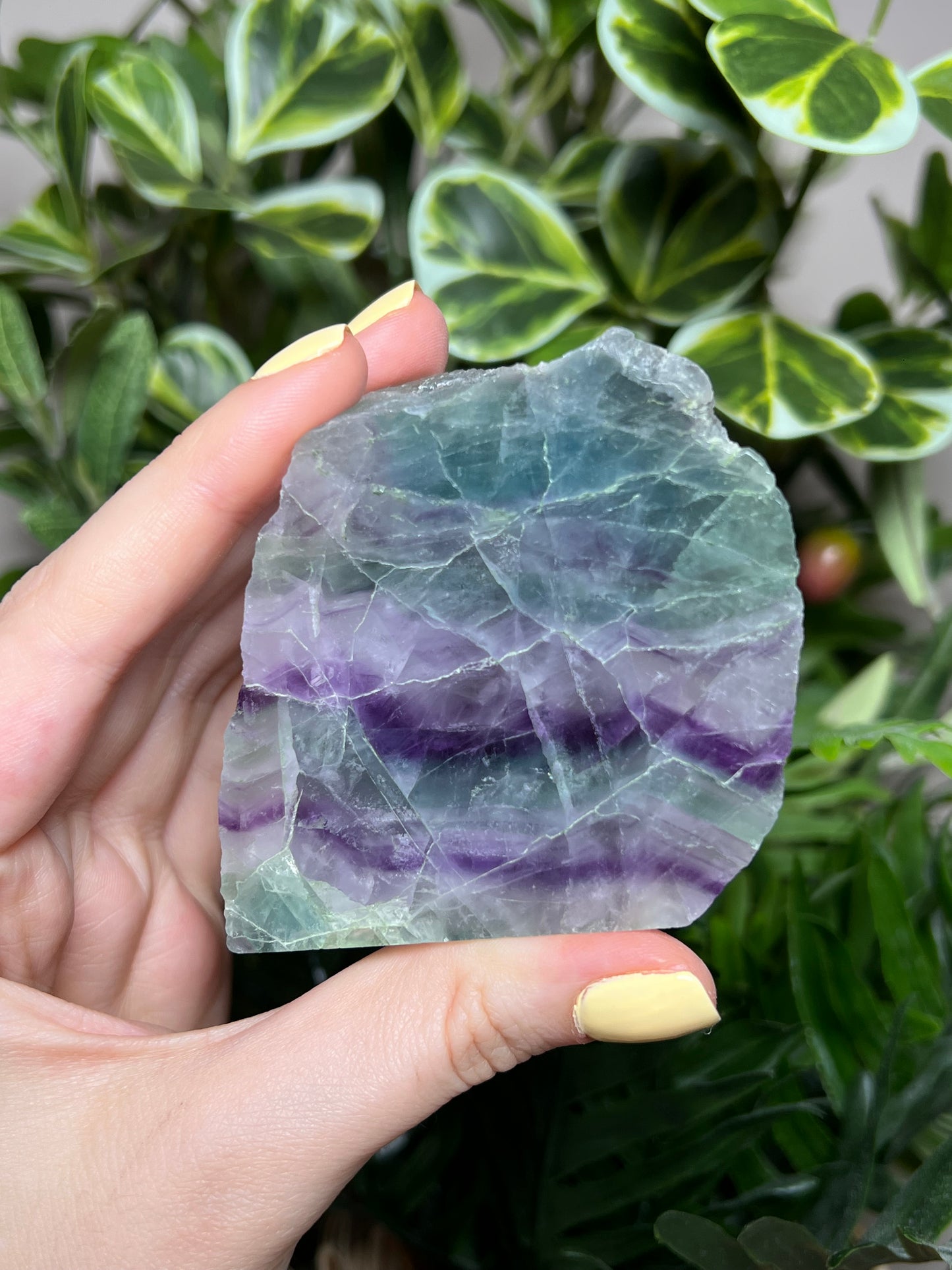 Fluorite Cutbases