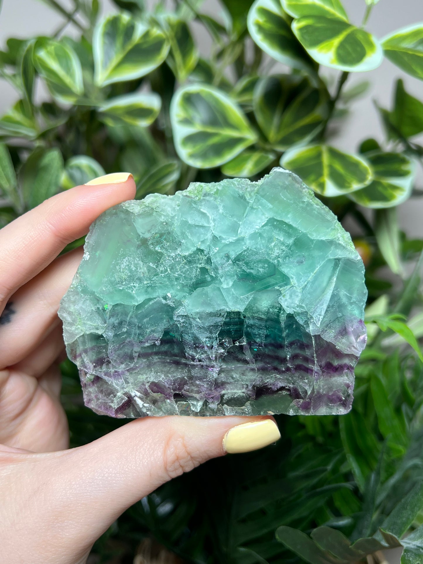 Fluorite Cutbases