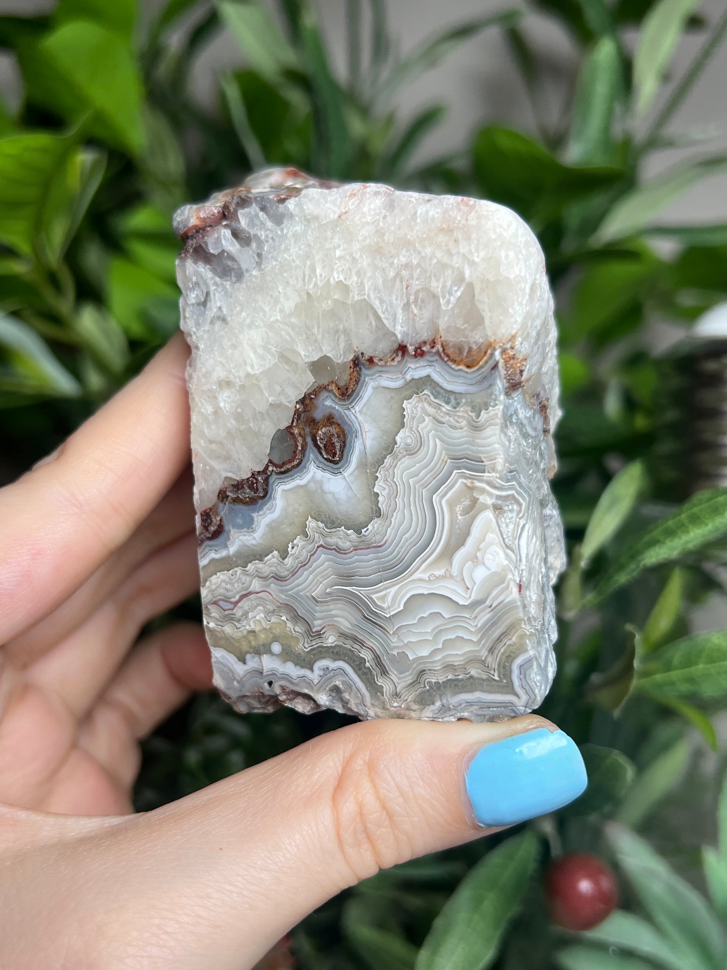 Laguna Lace Agate Freeforms
