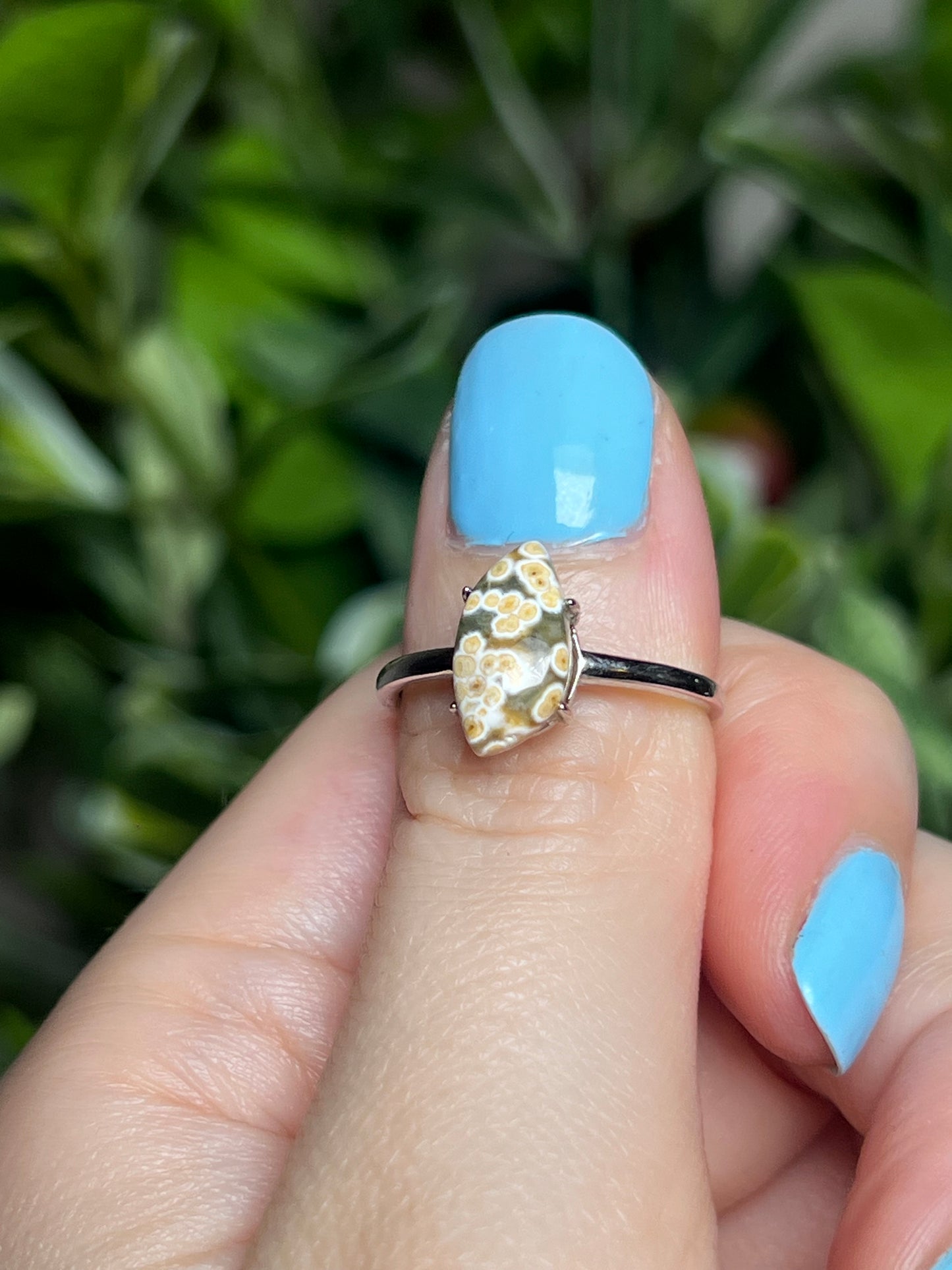 Sea jasper rings