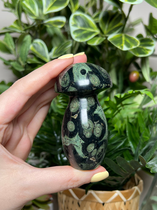 Kambaba Jasper Mushrooms