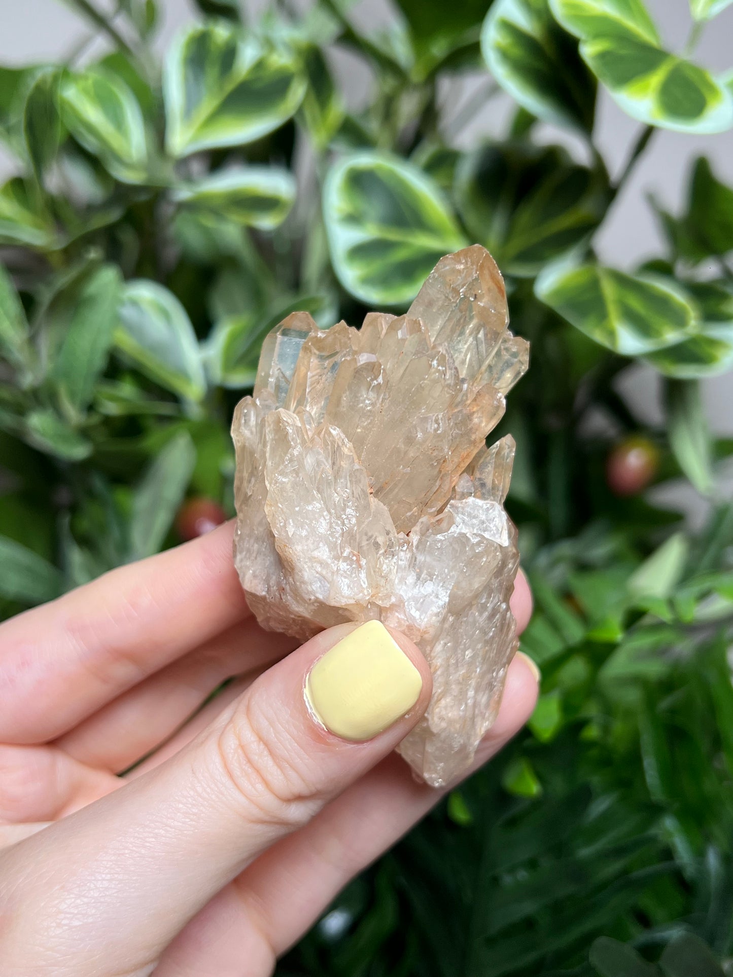 Natural Kundalini Citrine