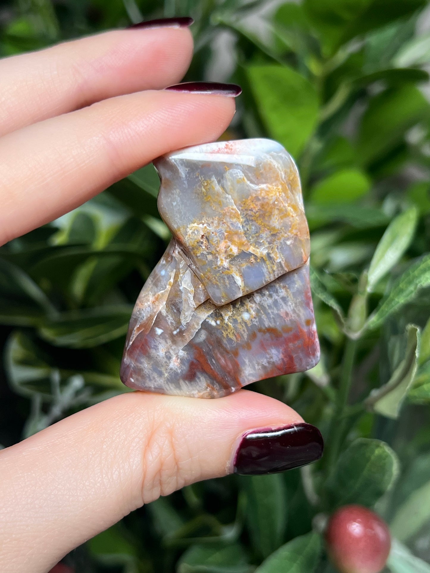 Arizona Petrified Wood Freeforms