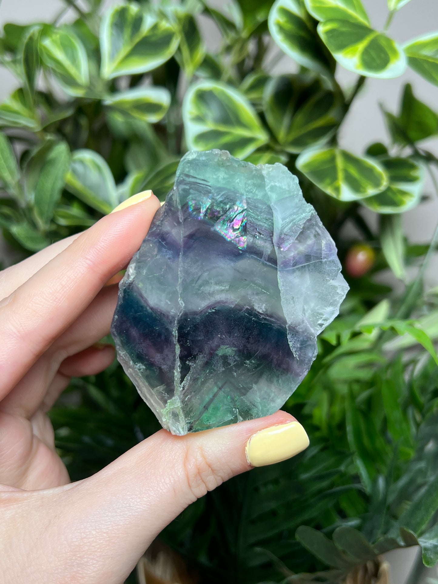 Fluorite Cutbases