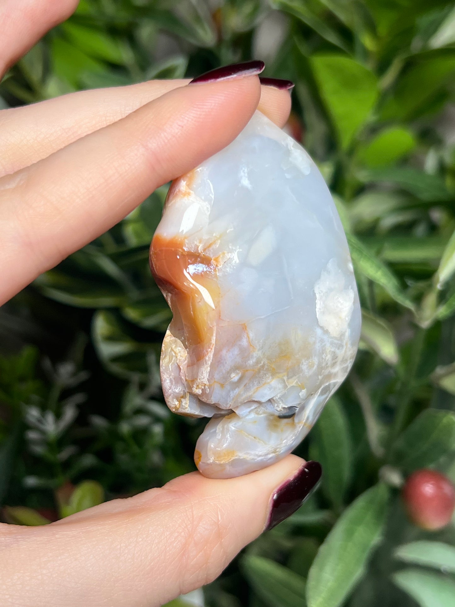 Arizona Petrified Wood Freeforms