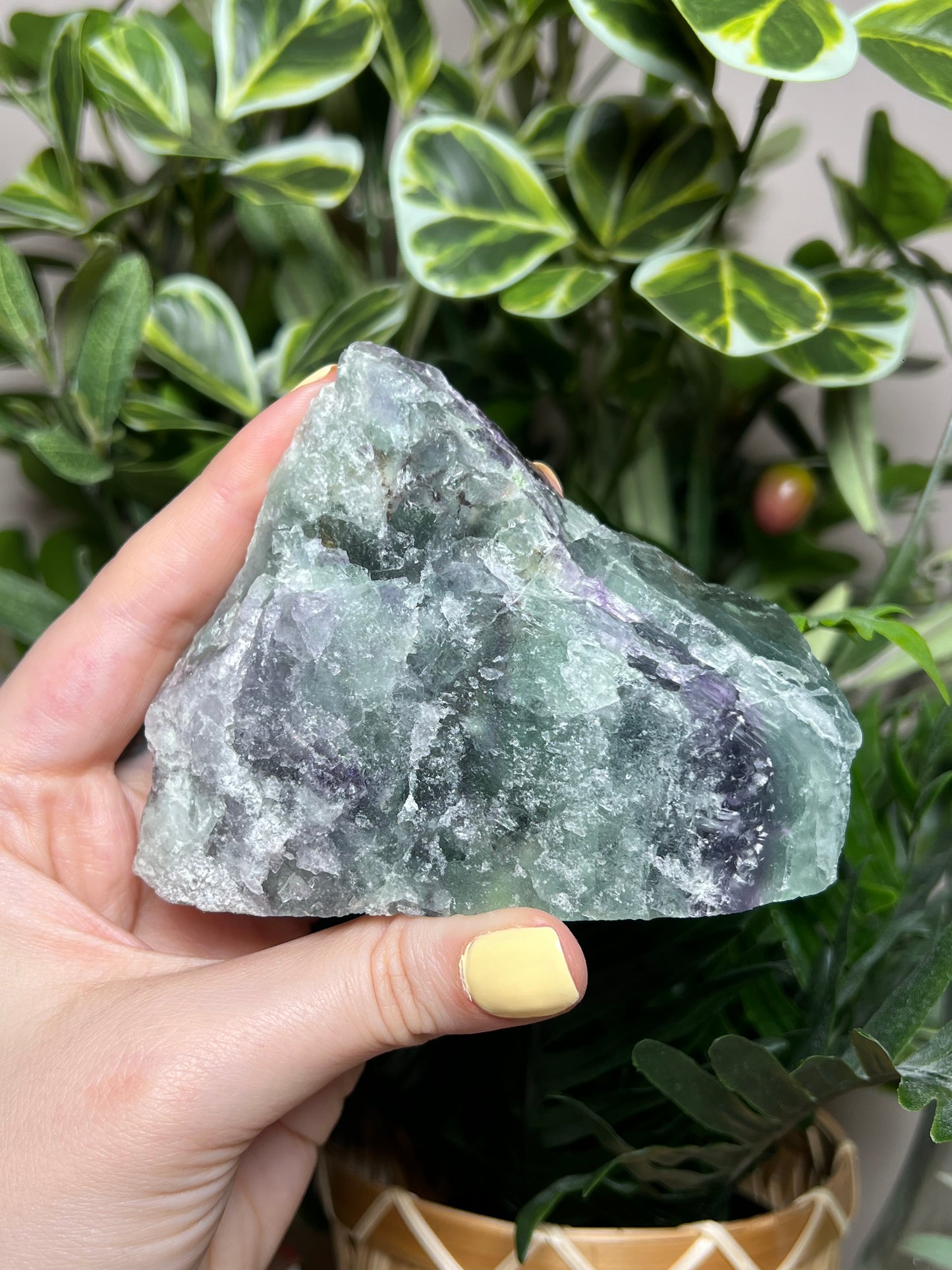 Fluorite Cutbases