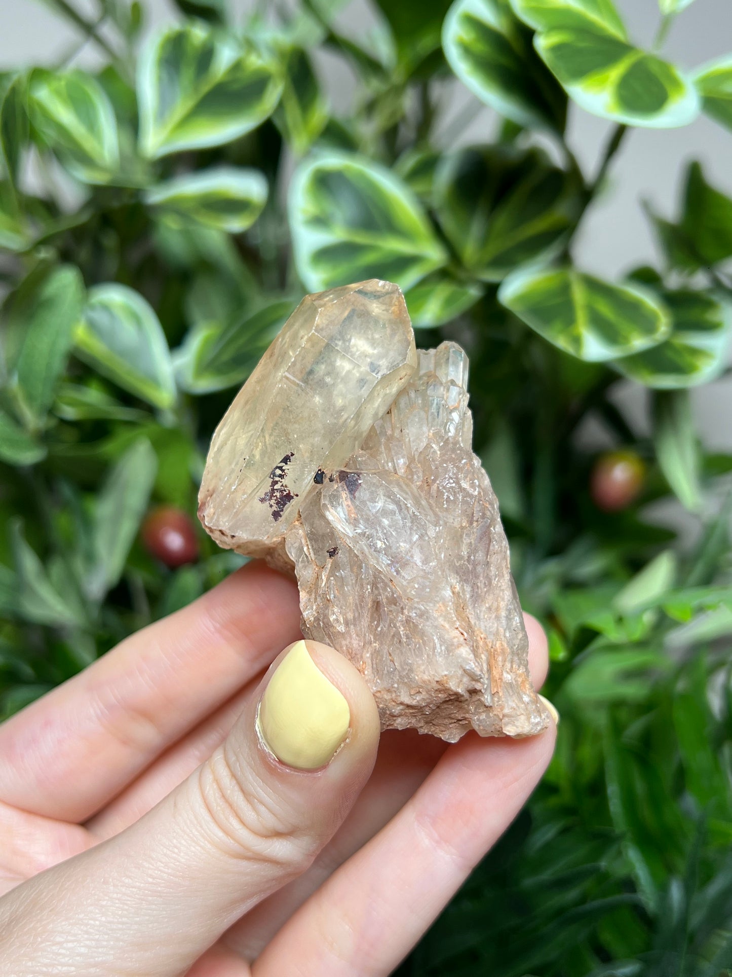 Natural Kundalini Citrine