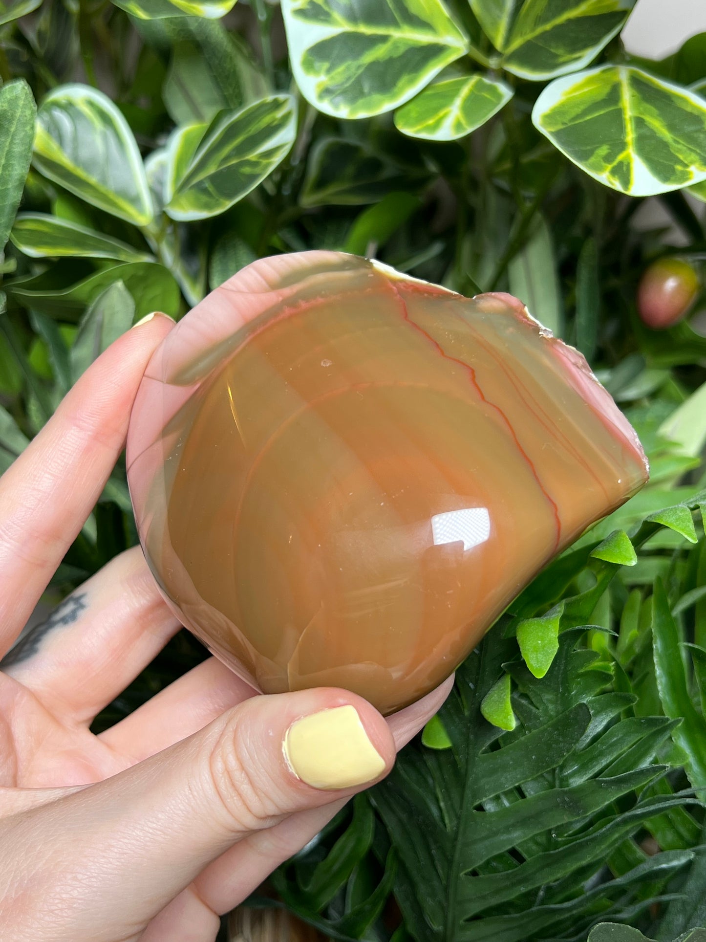 Imperial Jasper Freeforms